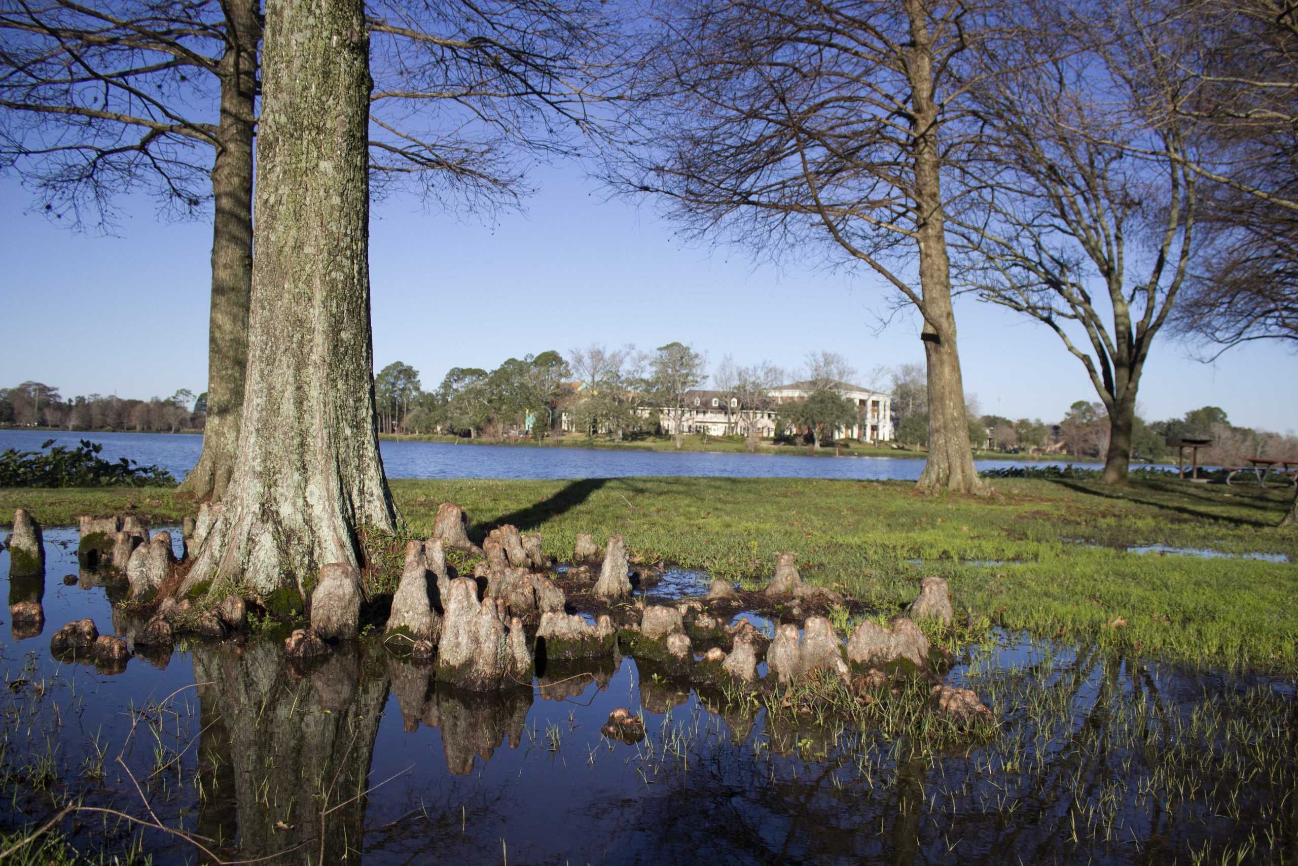 After securing $15 million in funding, LSU Lakes restoration project set to restart in September