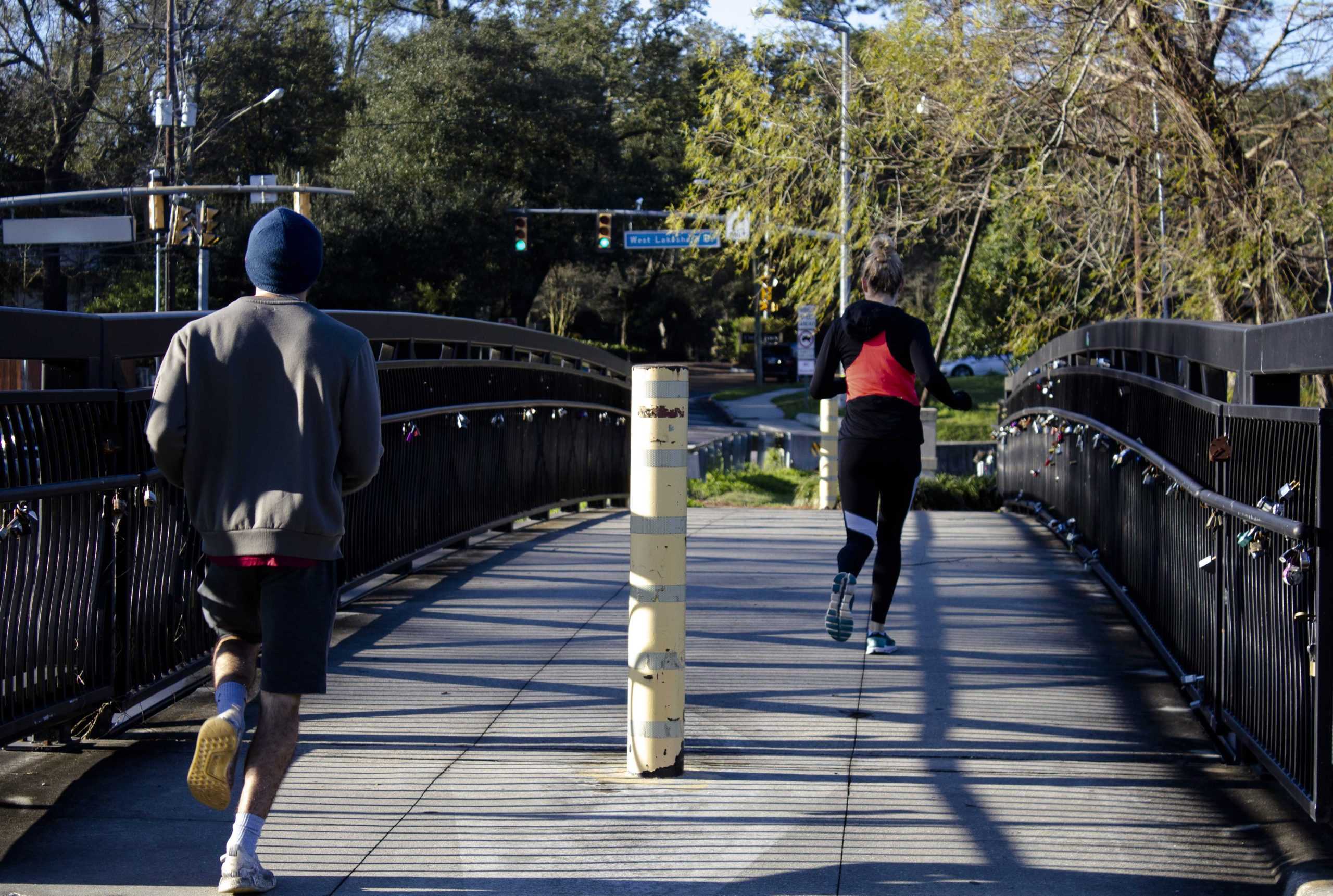 LSU Lakes in desperate need of care; University, BRAF to begin dredging by January 2021