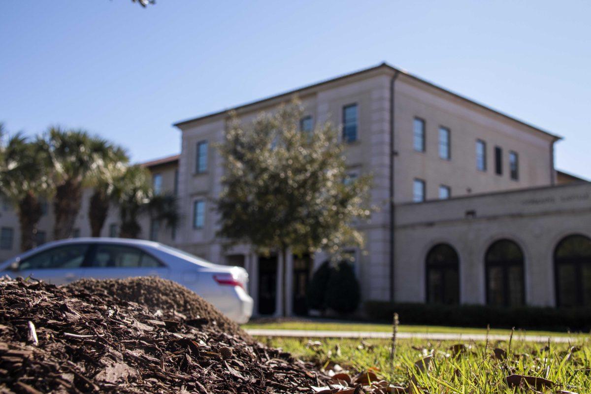 An ant hill grows outside Laville Honors House on Tuesday, January 21, 2020.