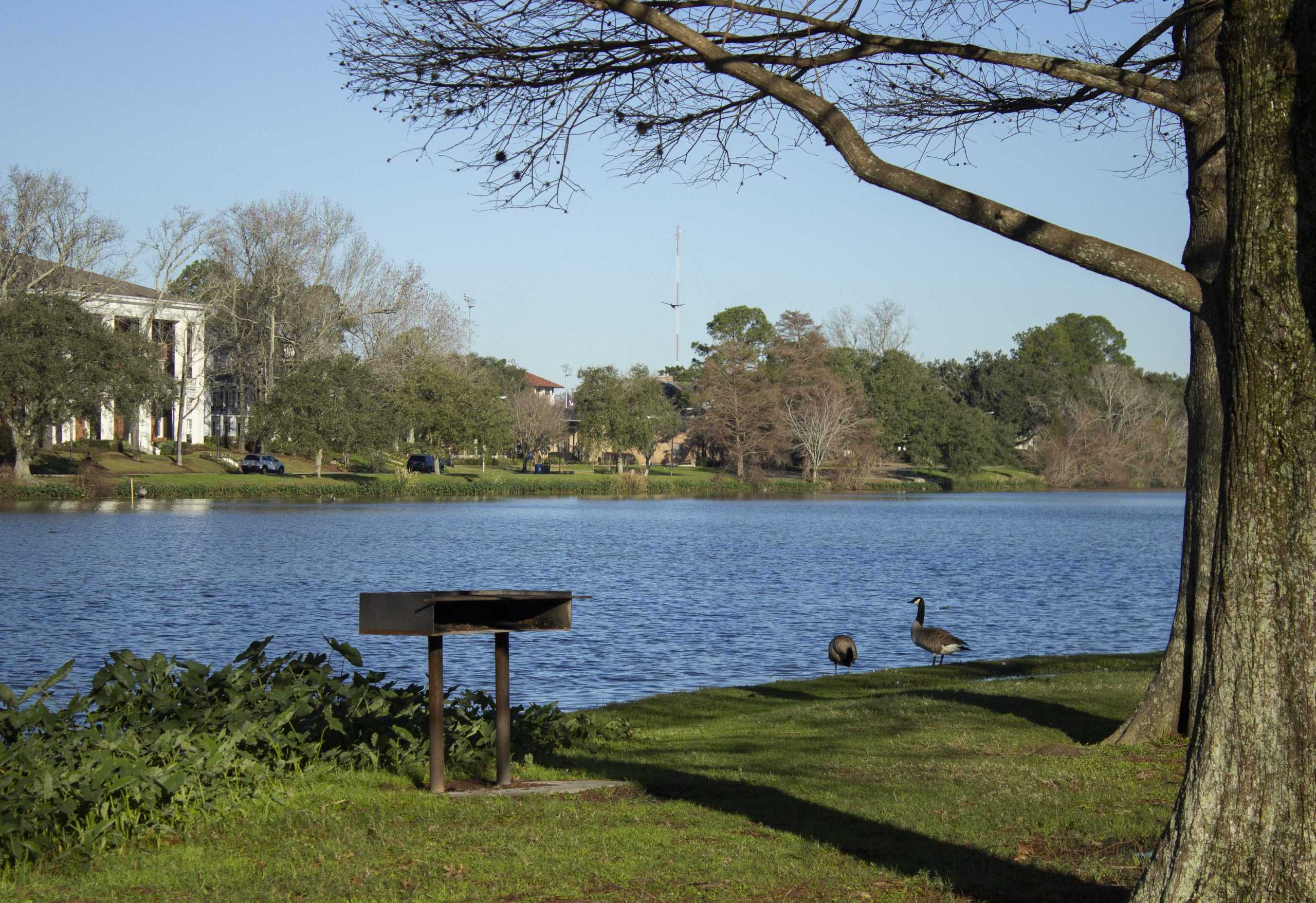 LSU Lakes in desperate need of care; University, BRAF to begin dredging by January 2021