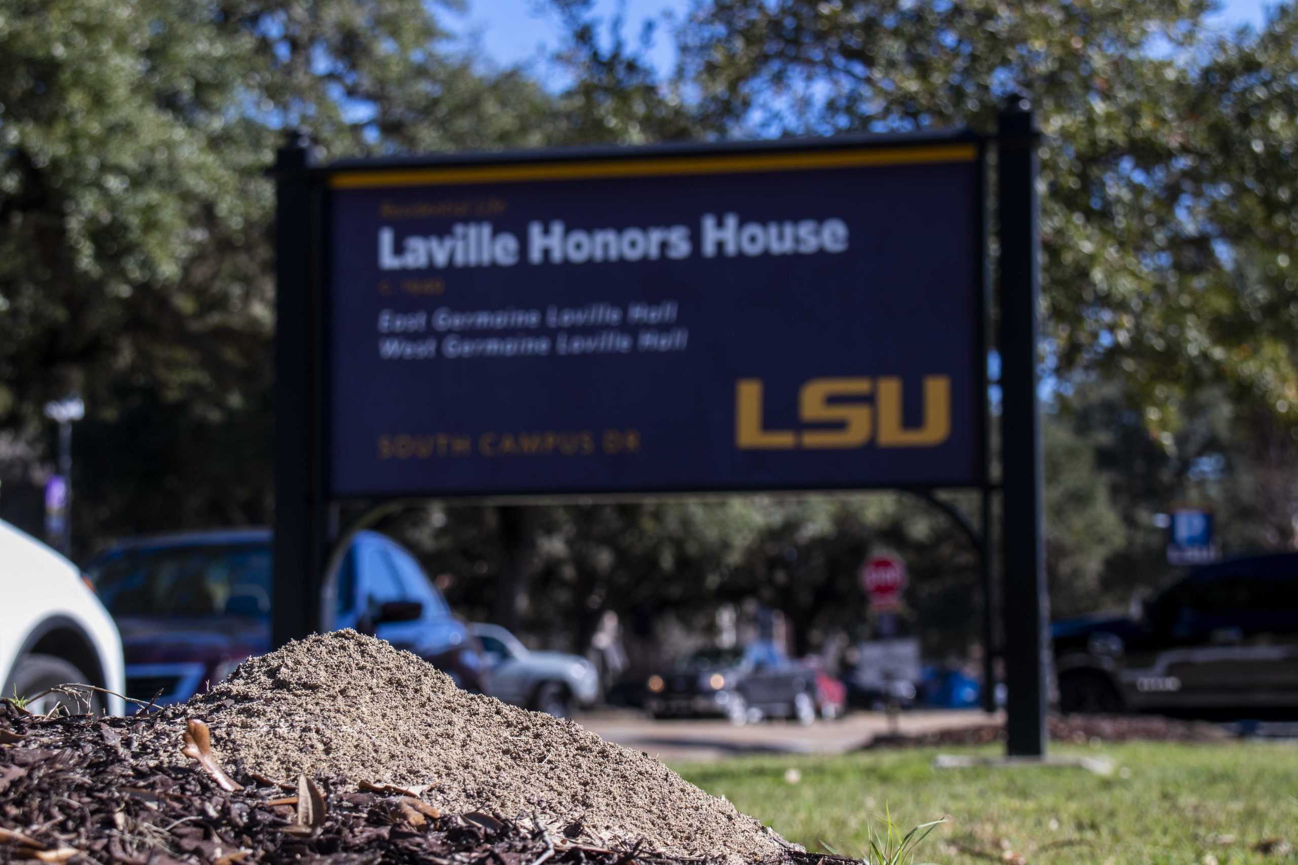 Smarty pants, smarty ants: LSU students discover common ant problem inside Laville Hall