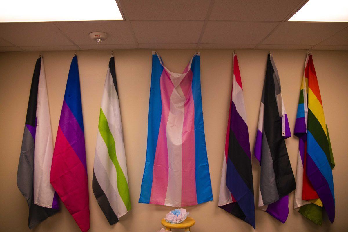 Flags representing each branch of the LGBTQ+ community hang up in the Safe Space in the LSU Women's Center on Wednesday, Jan. 15, 2020.