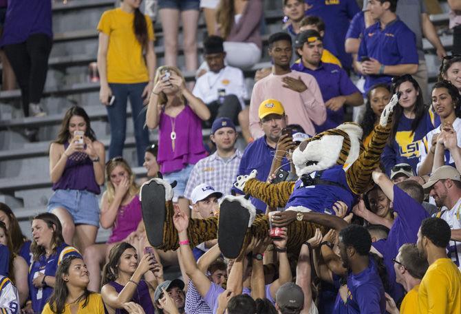 Mike the Tiger crowd surfs in the Tigers student section during the LSU 45-10 win against Southern Mississippi on Saturday Oct. 15, 2016, in Tiger Stadium.