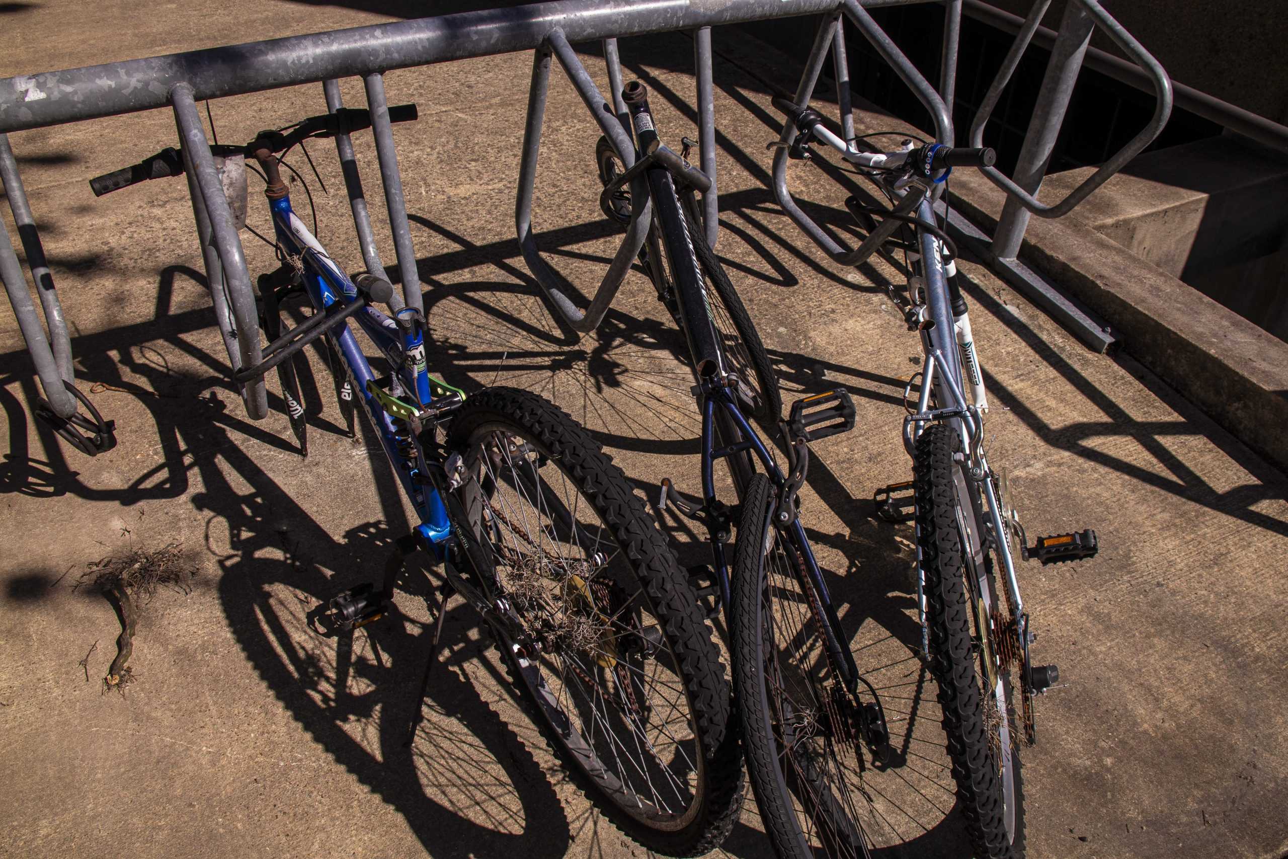 PHOTOS:  Is This Your Bike?