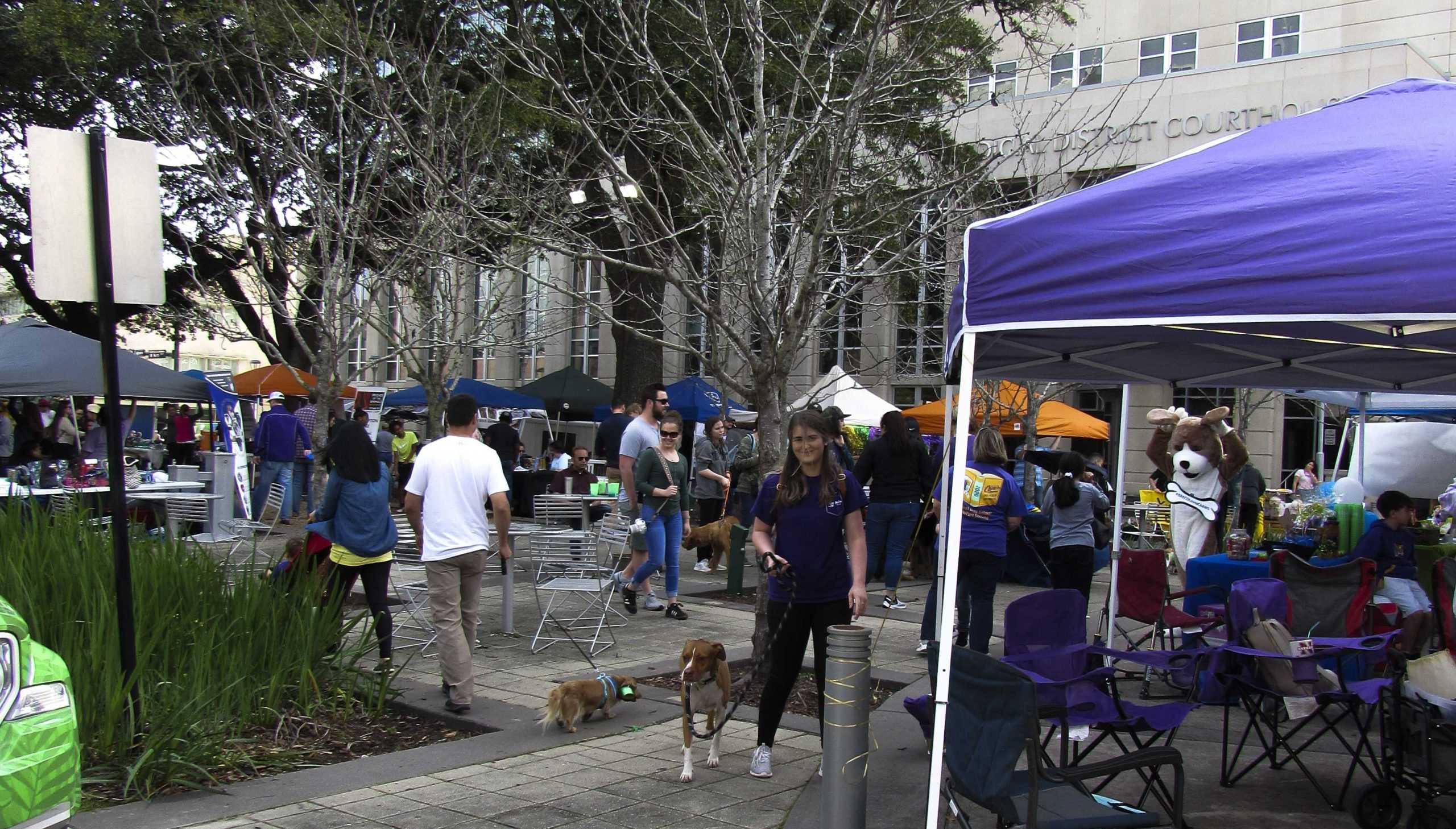 PHOTOS: Krewe de Mutts Parade