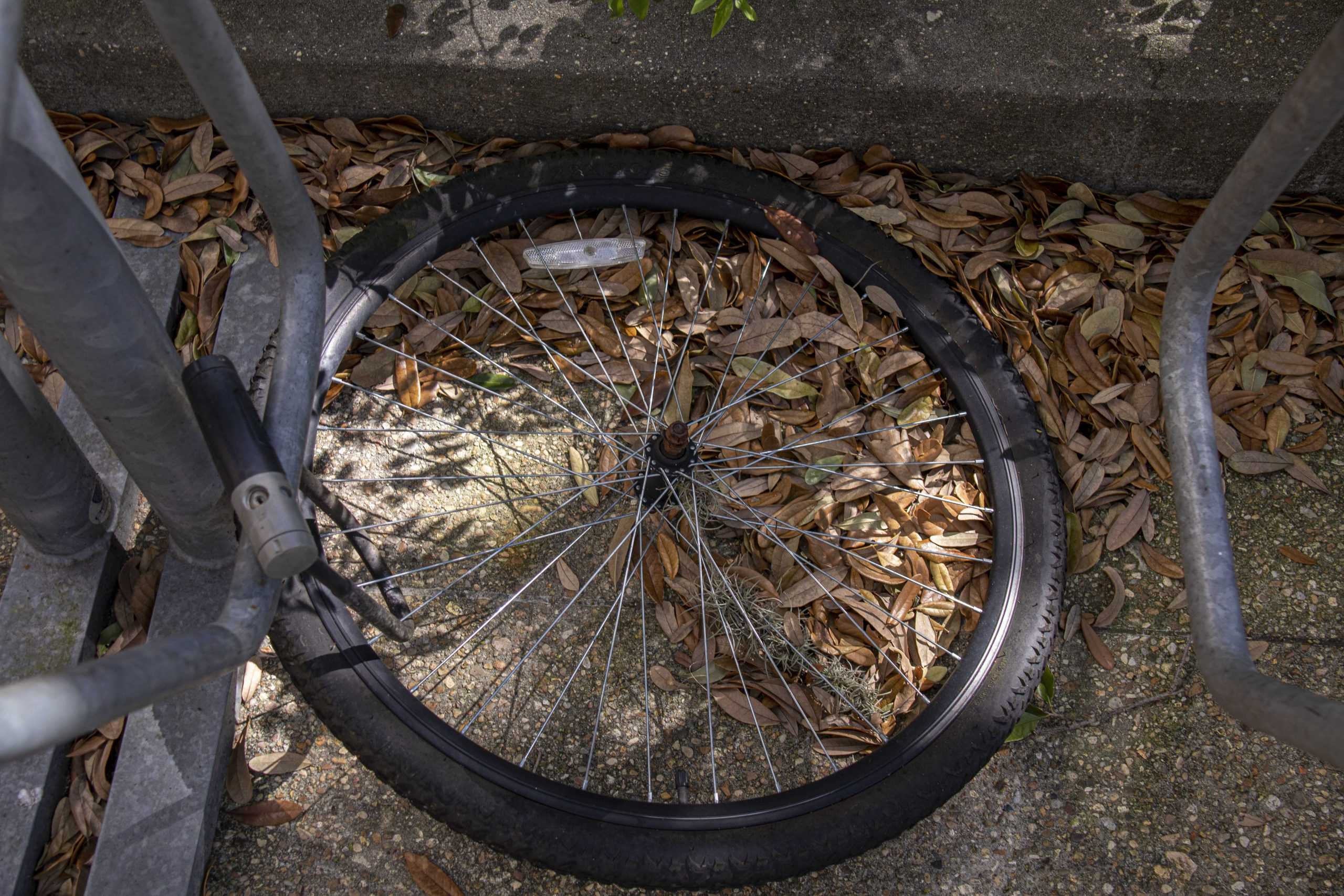 PHOTOS:  Is This Your Bike?