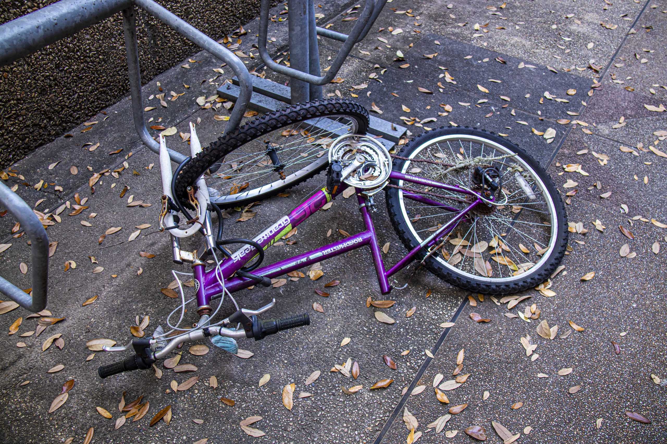 PHOTOS:  Is This Your Bike?