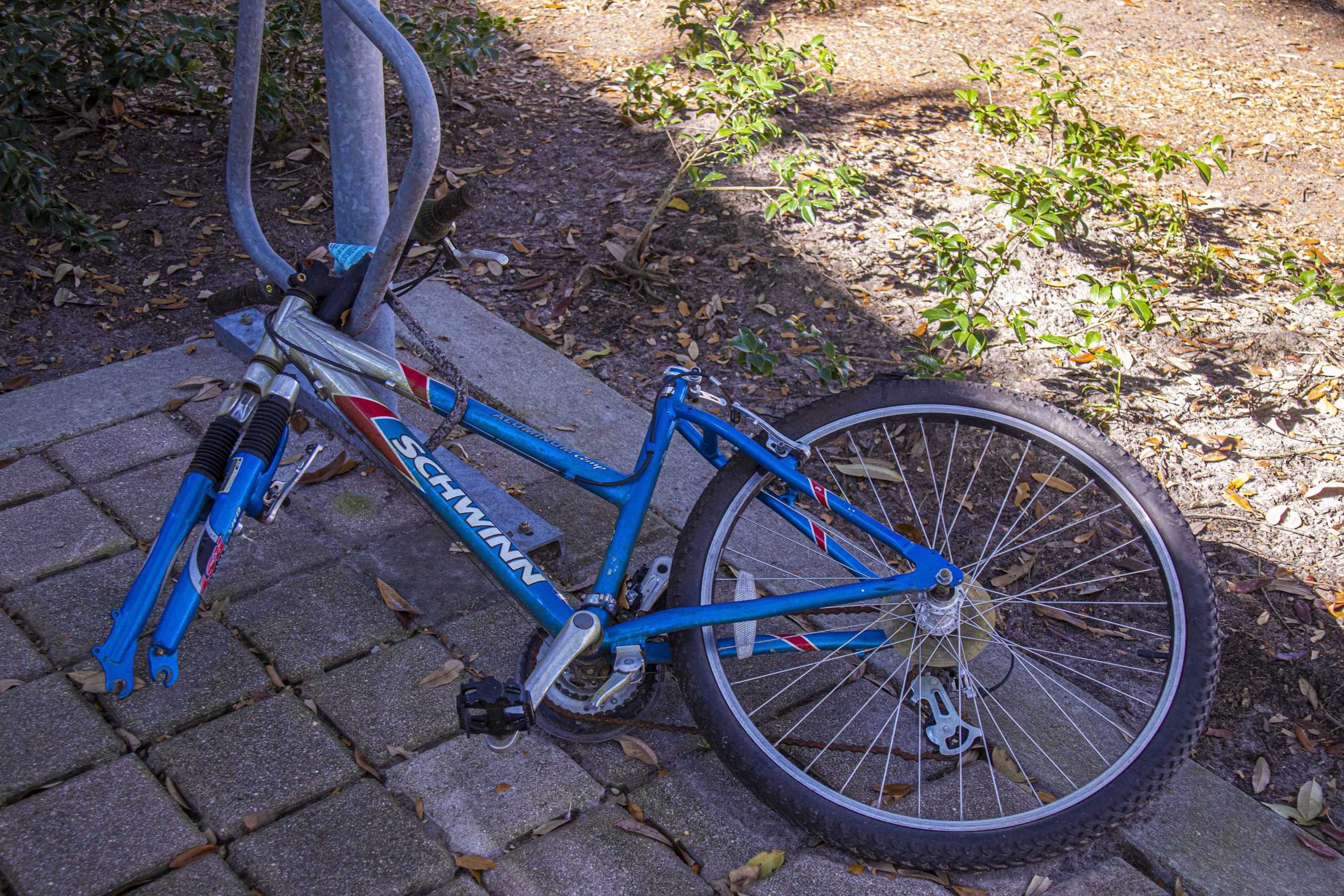 PHOTOS:  Is This Your Bike?