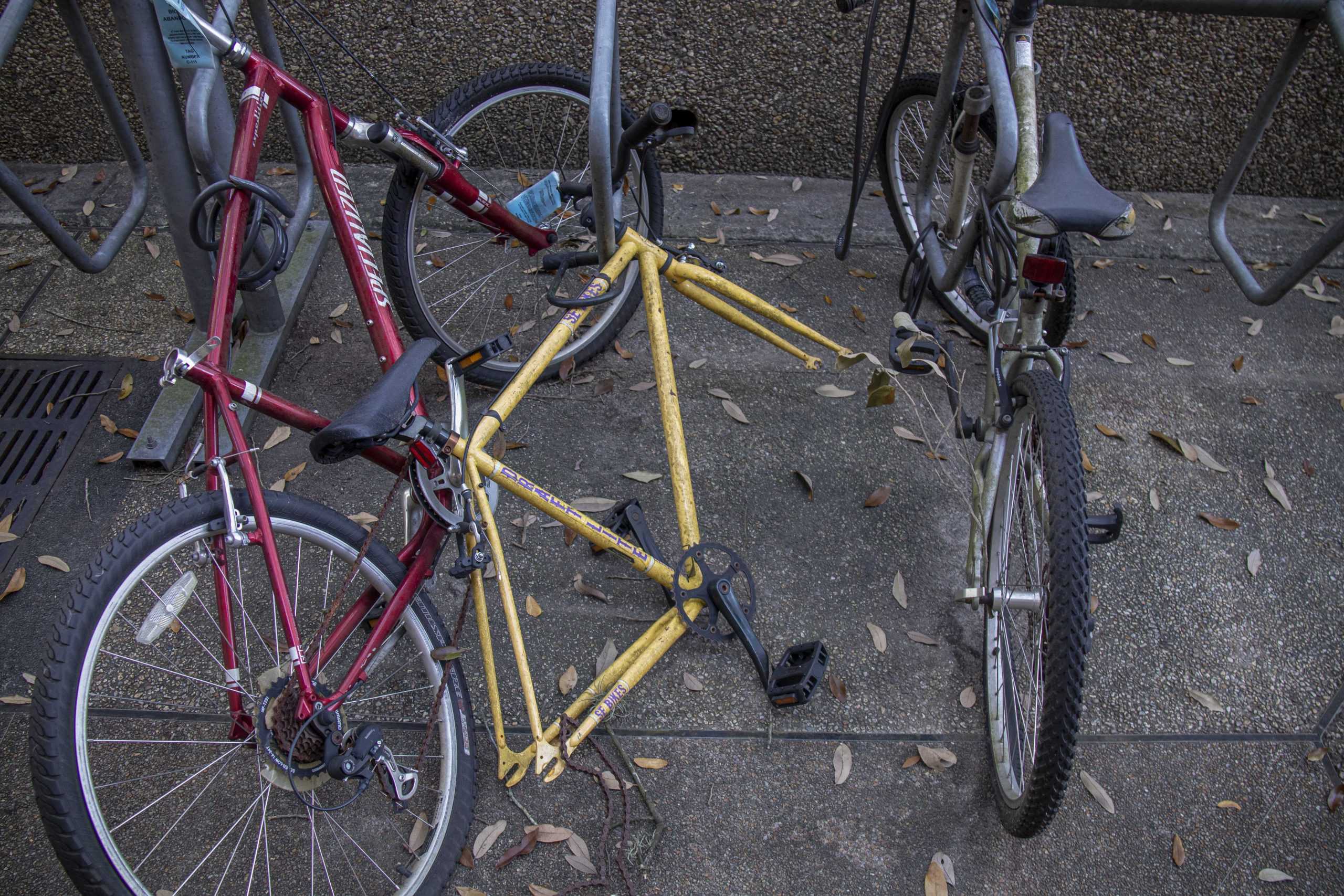 PHOTOS:  Is This Your Bike?