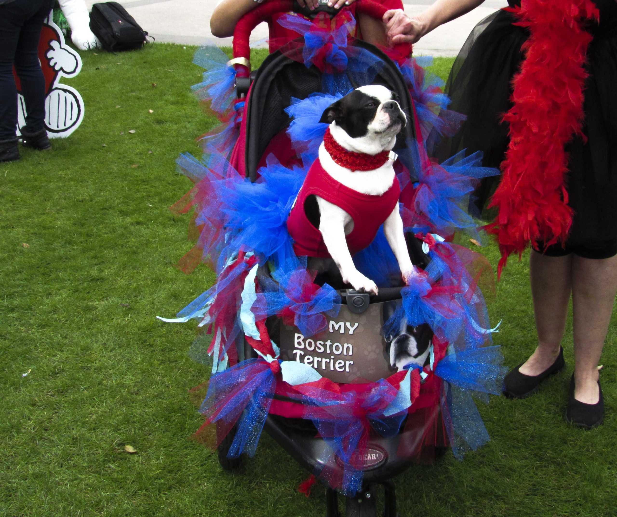 PHOTOS: Krewe de Mutts Parade