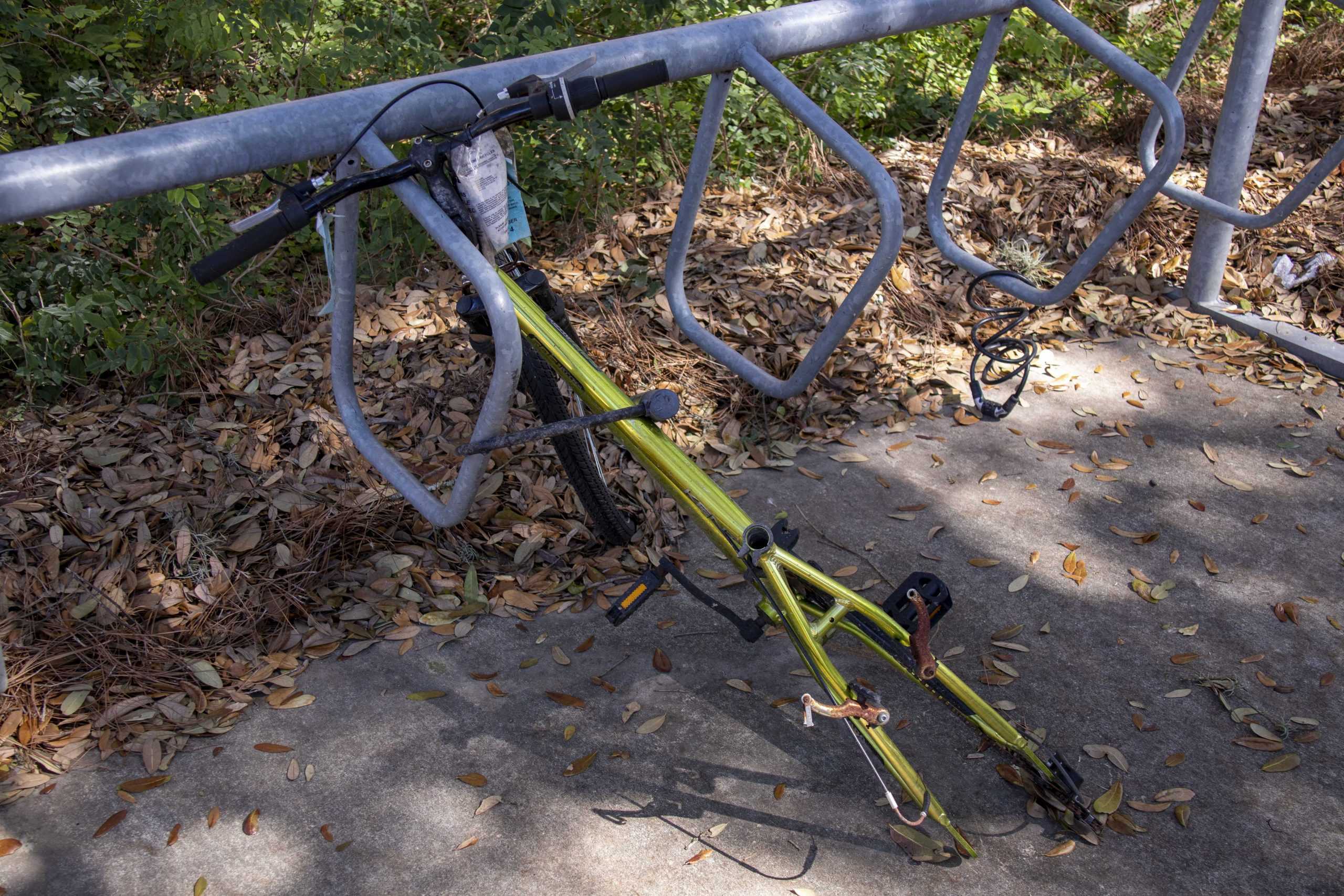 PHOTOS:  Is This Your Bike?