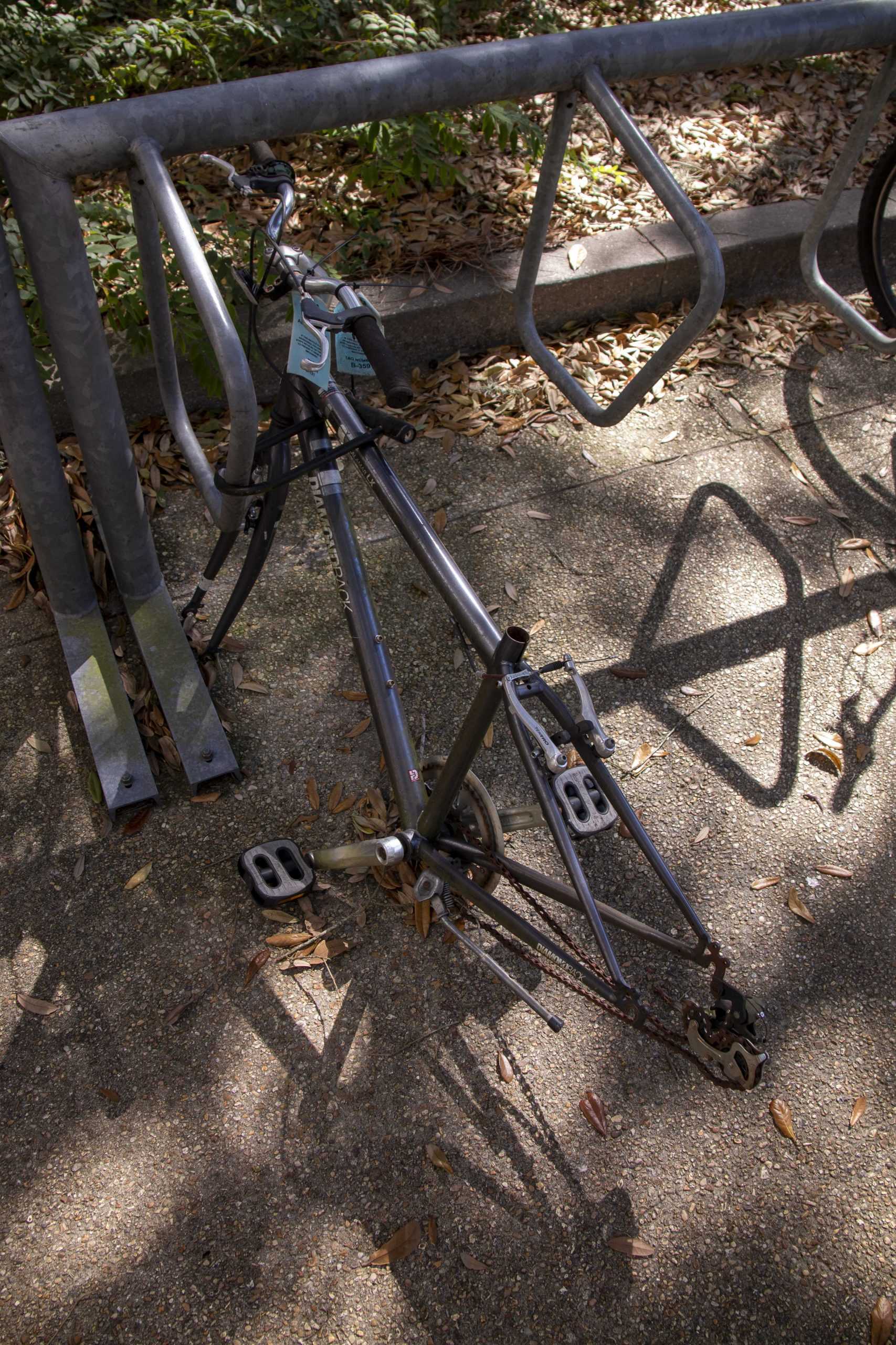 PHOTOS:  Is This Your Bike?