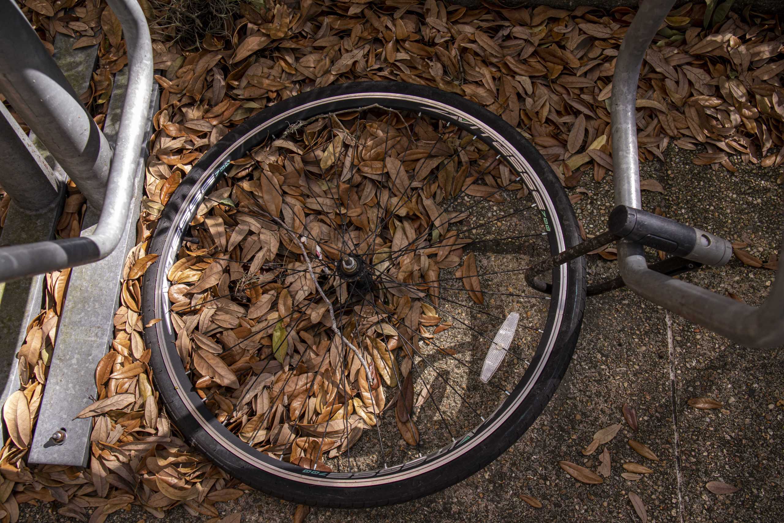 PHOTOS:  Is This Your Bike?