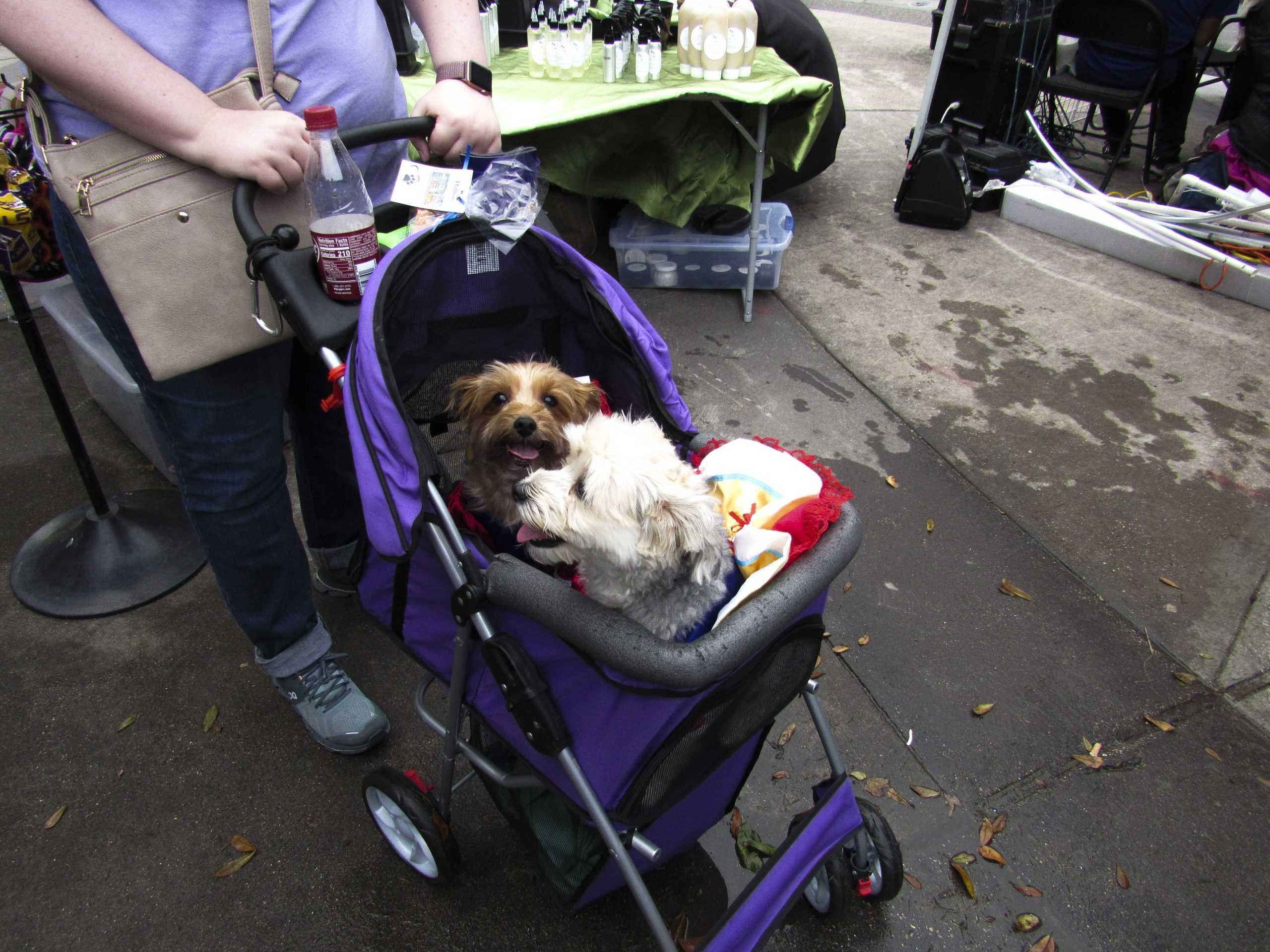 PHOTOS: Krewe de Mutts Parade