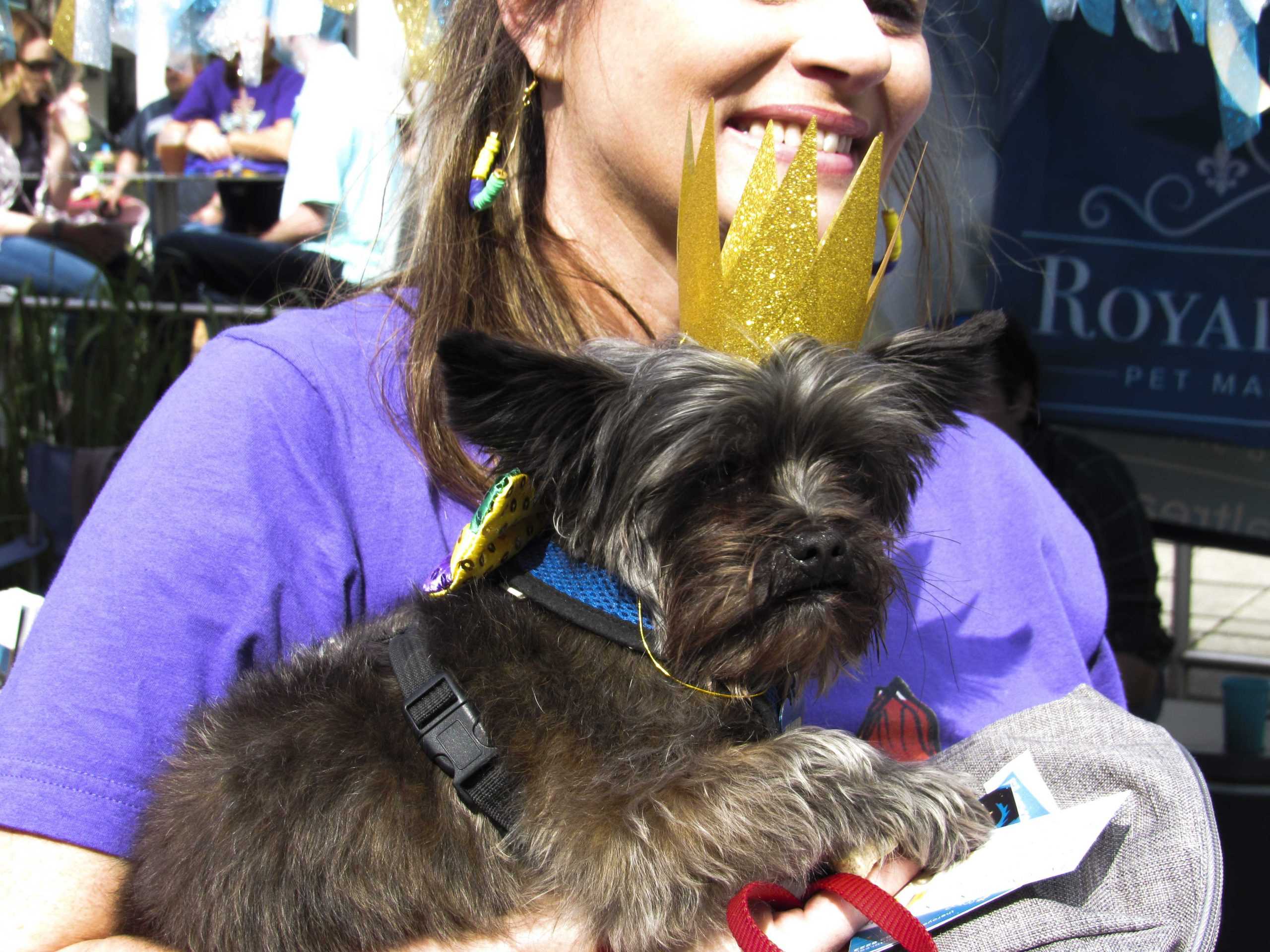 PHOTOS: Krewe de Mutts Parade