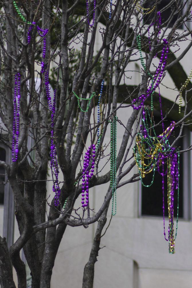 Beads hang from a tree during Mardi Gras on Saturday, March 2, 2019, in New Orleans.