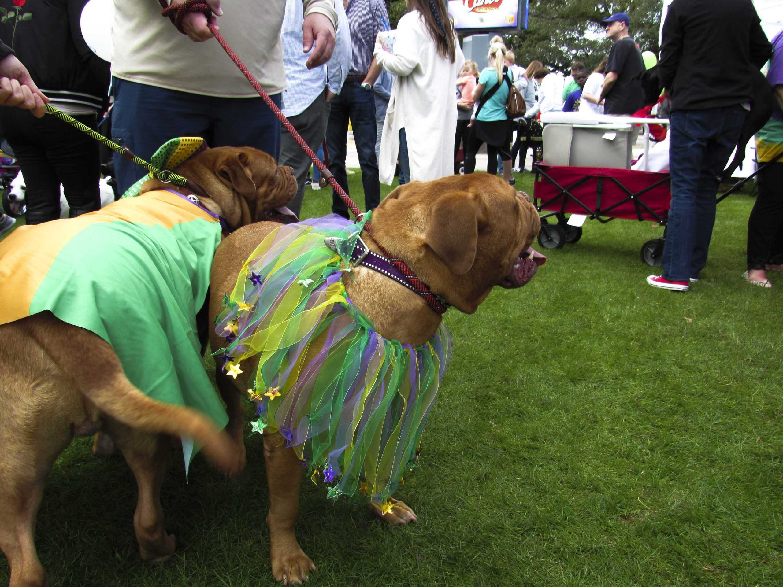 PHOTOS: Krewe de Mutts Parade