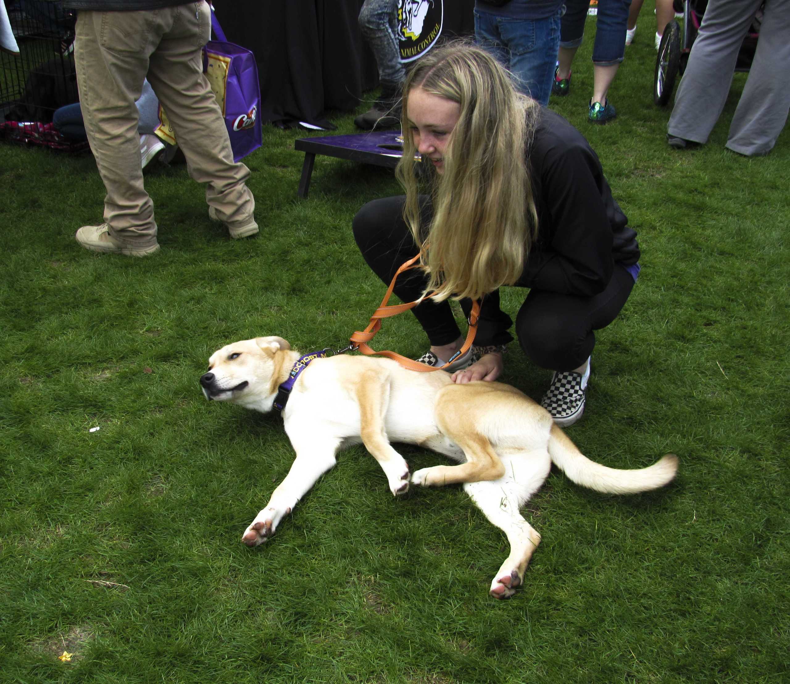 PHOTOS: Krewe de Mutts Parade