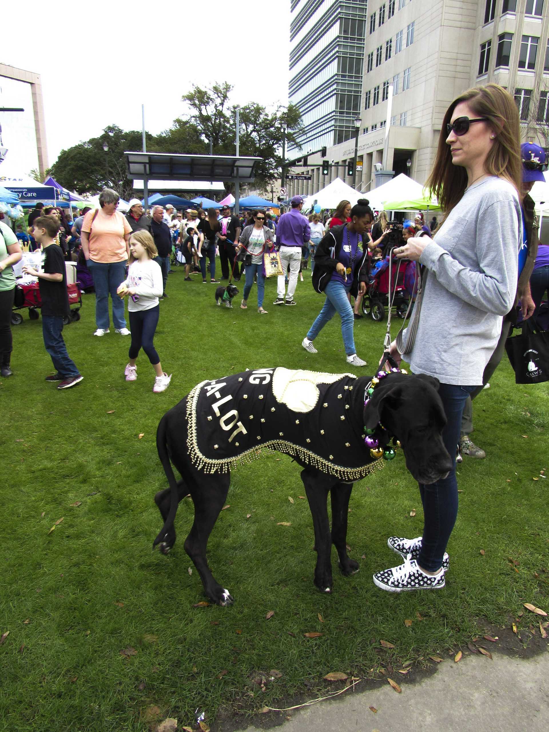 PHOTOS: Krewe de Mutts Parade