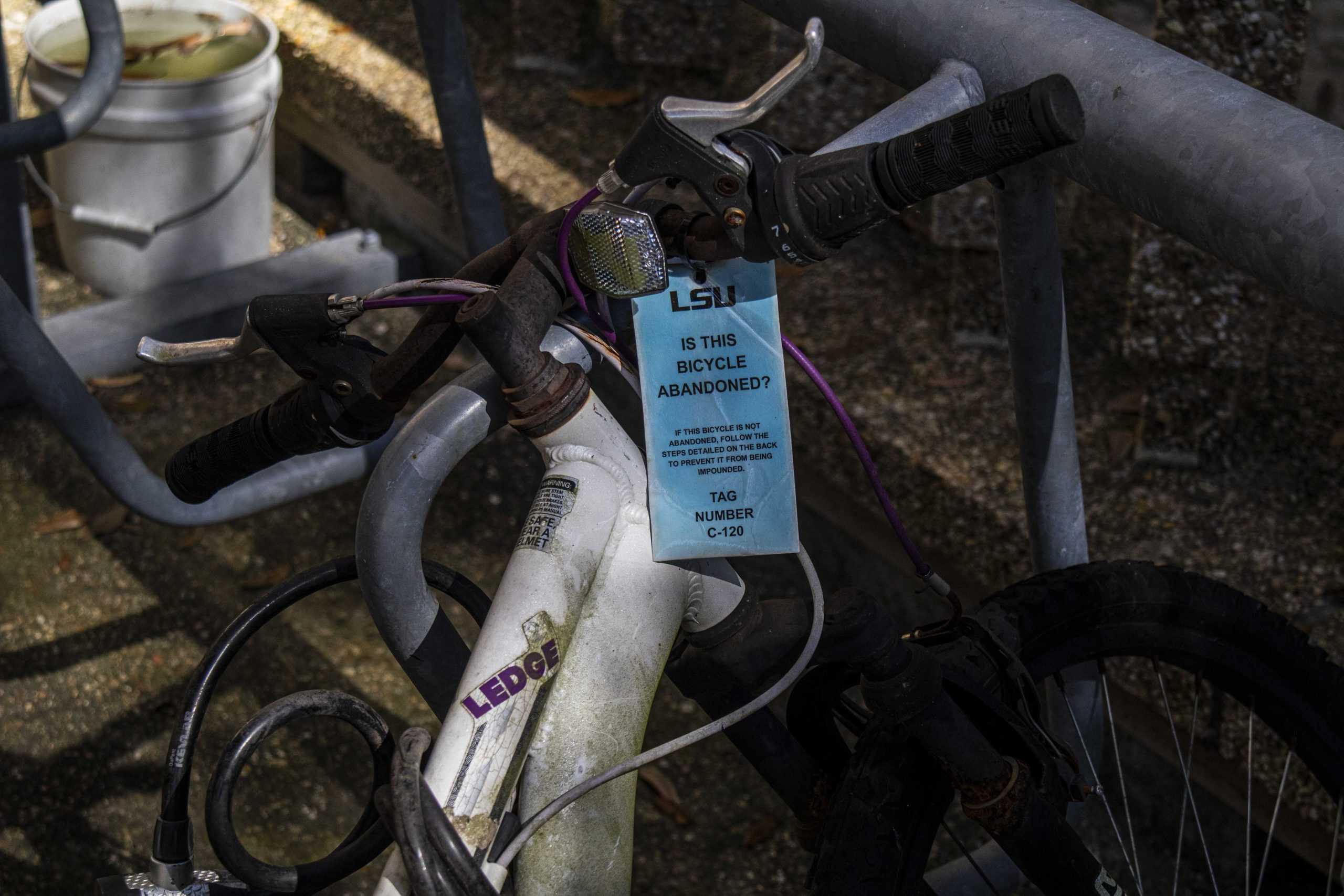 PHOTOS:  Is This Your Bike?