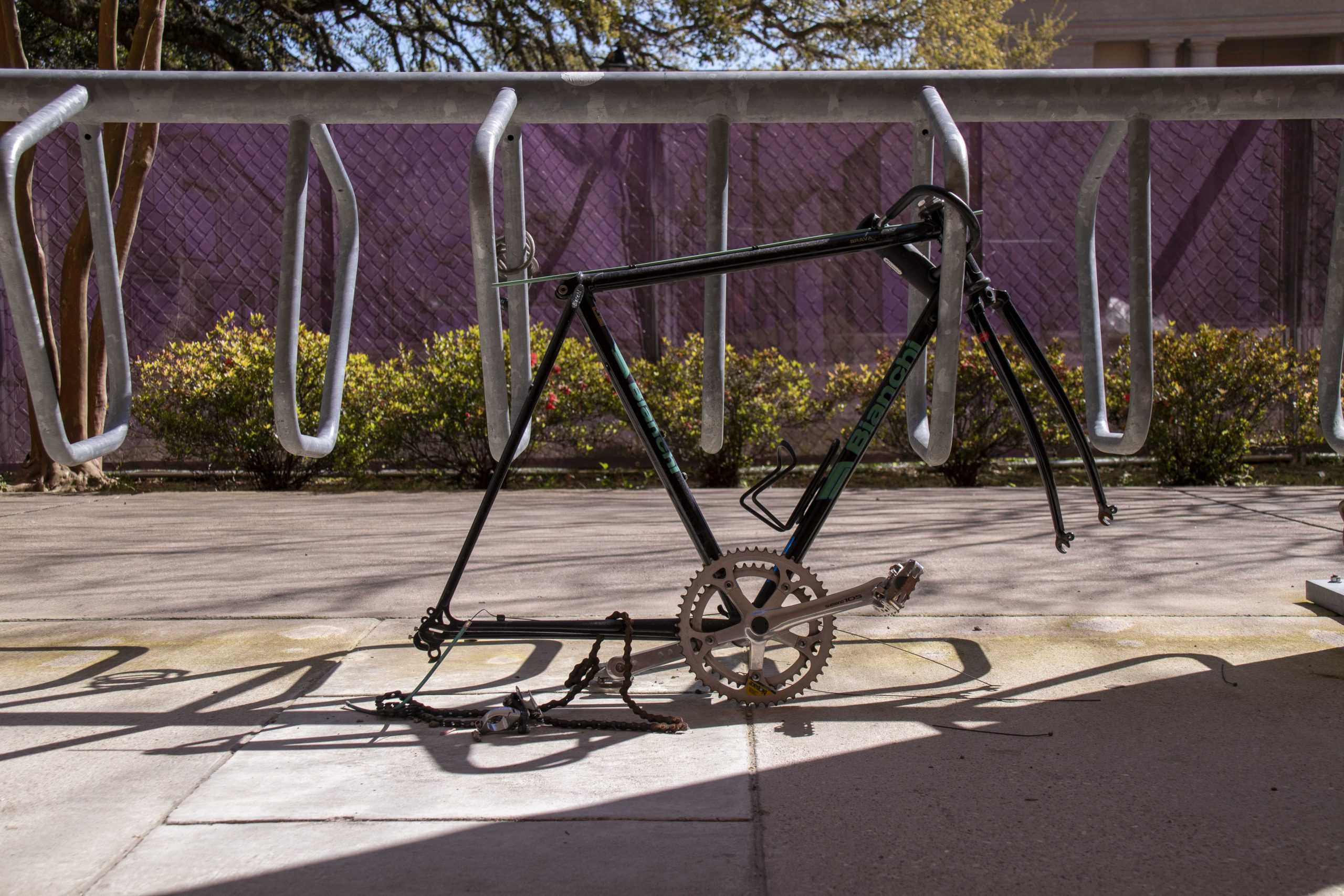 PHOTOS:  Is This Your Bike?