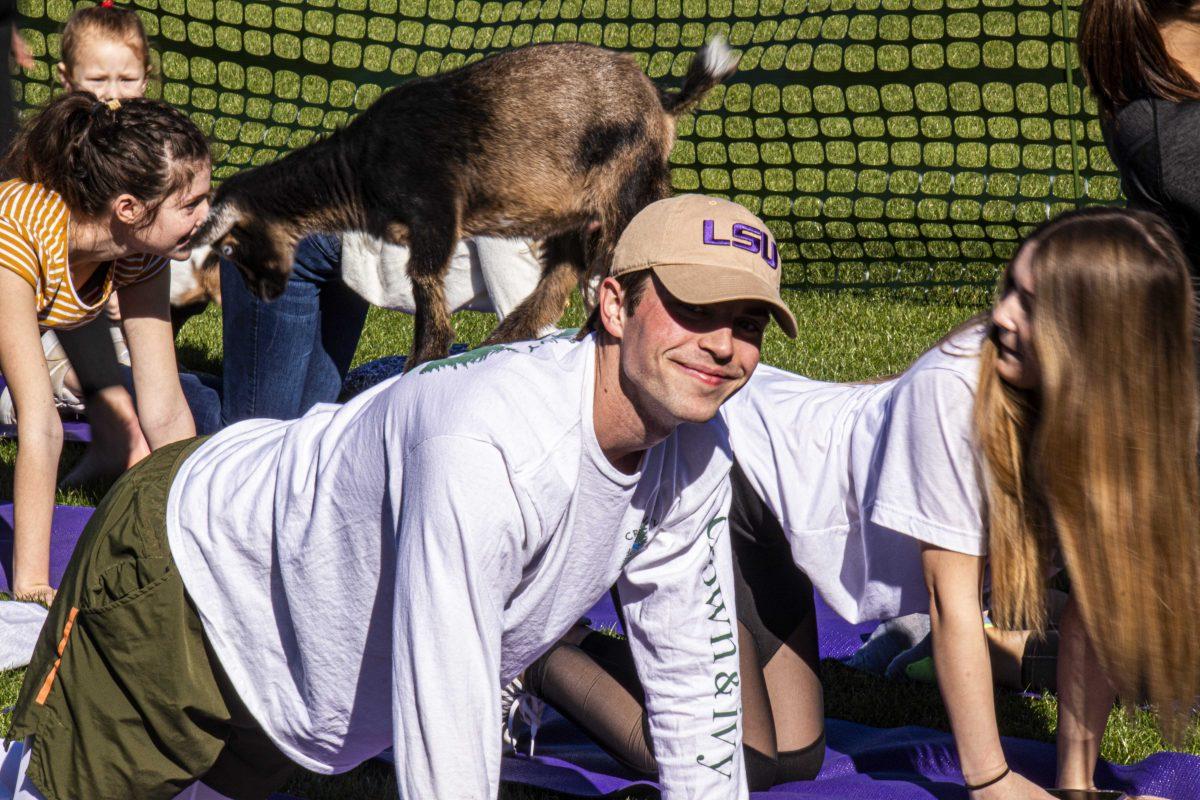 An LSU student smiles while a goat stands on his back on Friday, Feb. 7, 2020 during Goat Yoga on the Parade Ground.