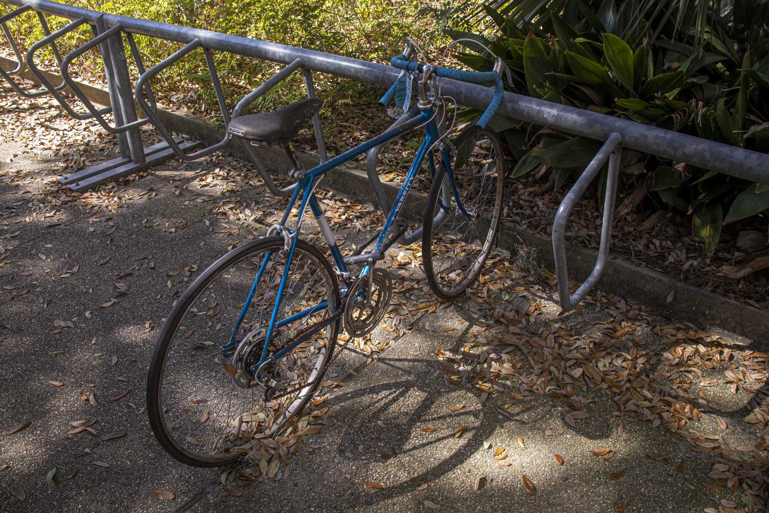 PHOTOS:  Is This Your Bike?