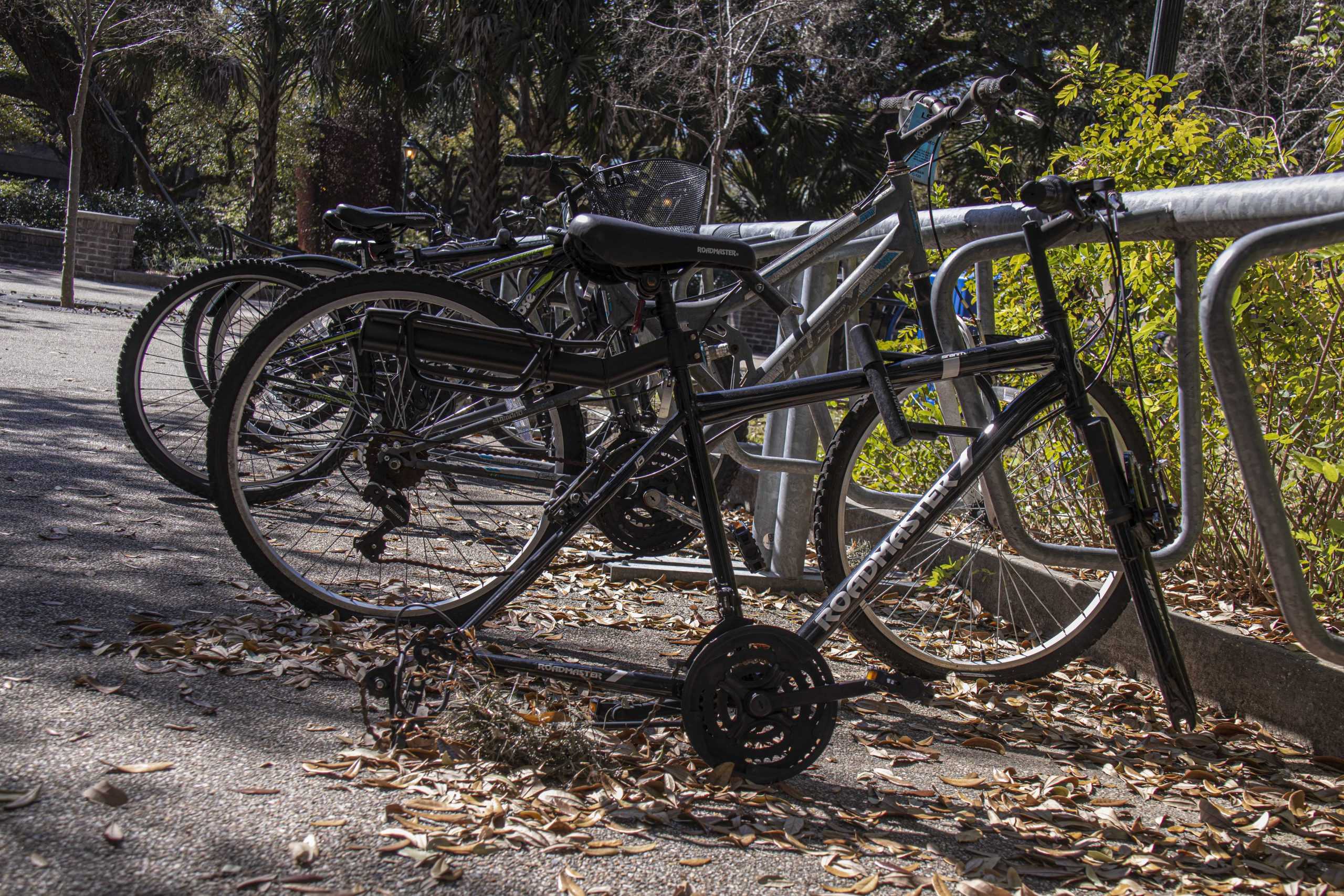 PHOTOS:  Is This Your Bike?