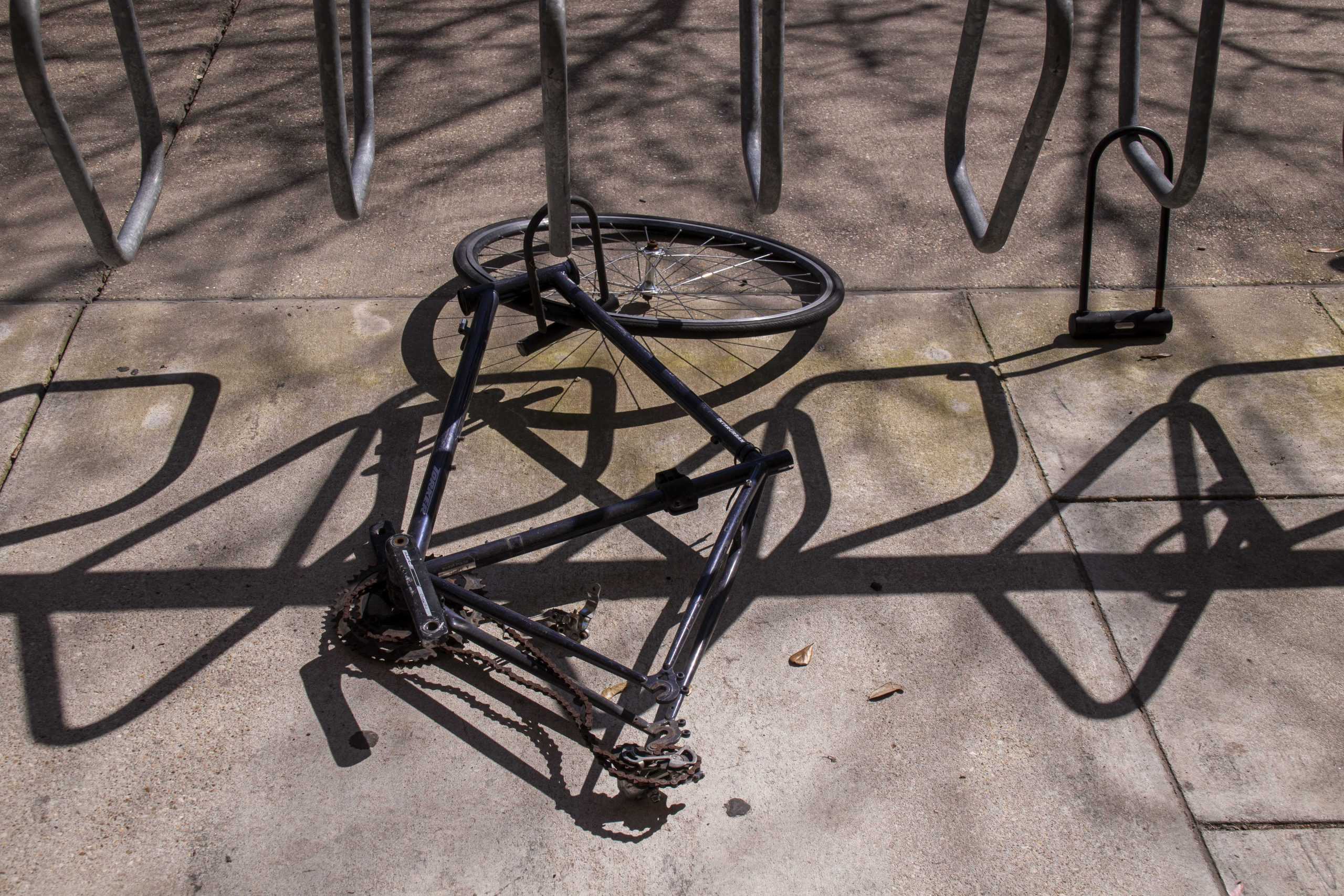 PHOTOS:  Is This Your Bike?