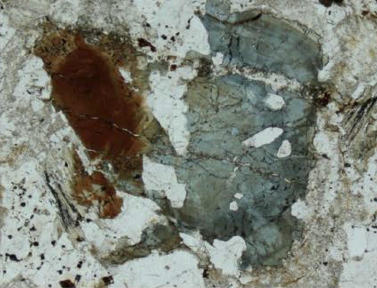 Sample of a brown dutrowite tourmaline (From Biagiona et al. 2019).