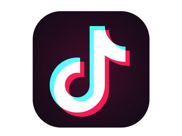 Tik Tok logo&#160;