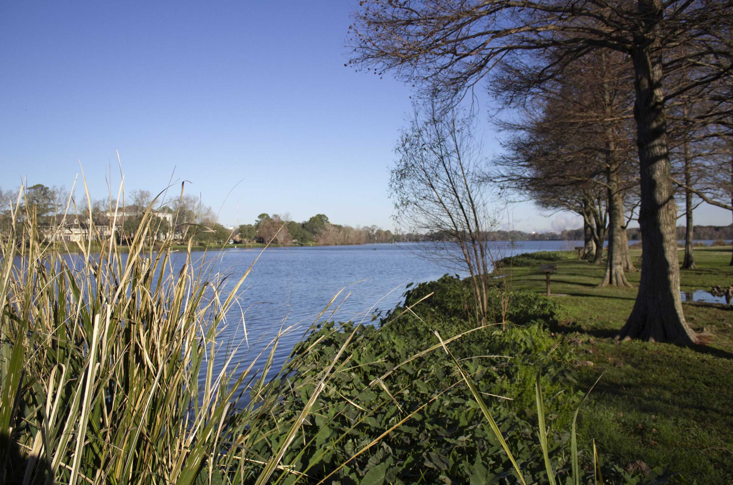 After securing $15 million in funding, LSU Lakes restoration project set to restart in September