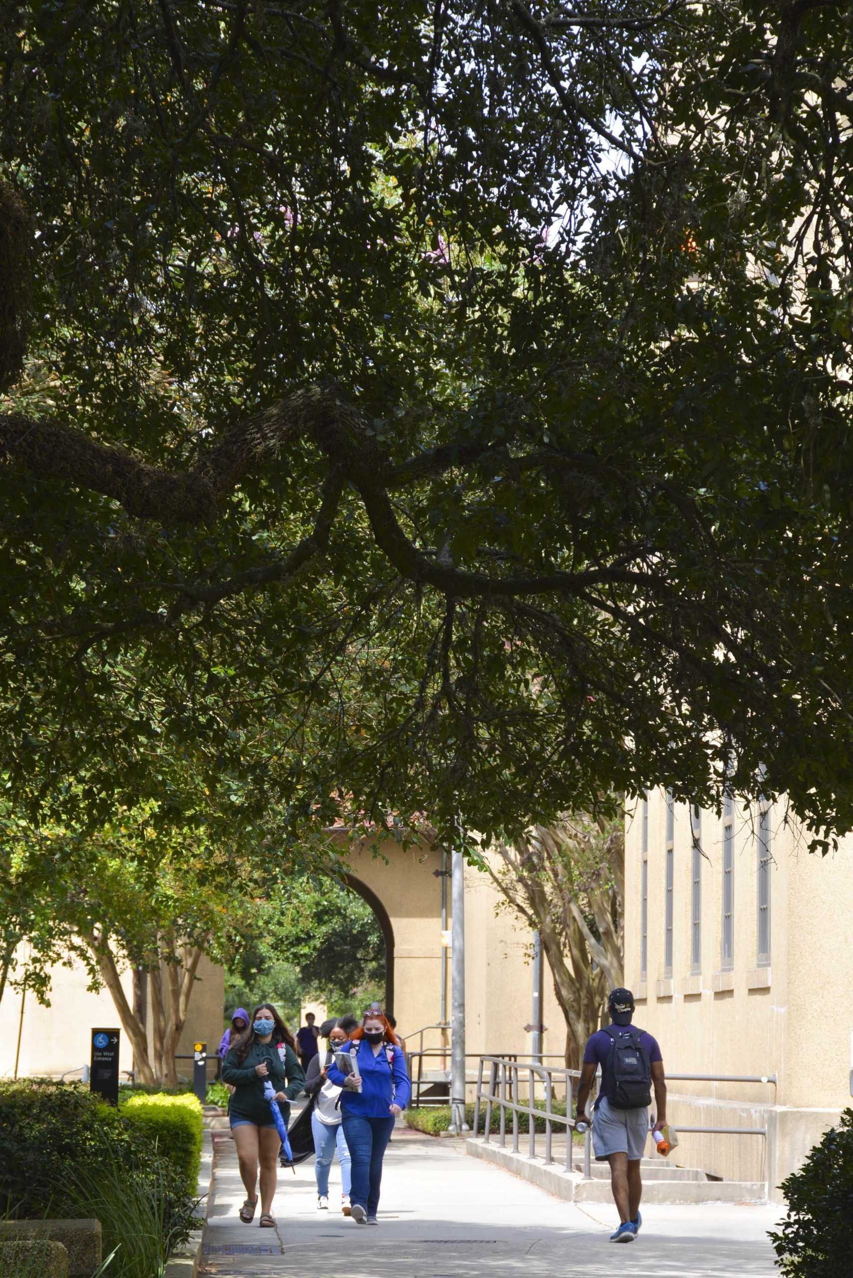 'It doesn't feel like freedom': LSU freshmen navigate college amid COVID-19 restrictions