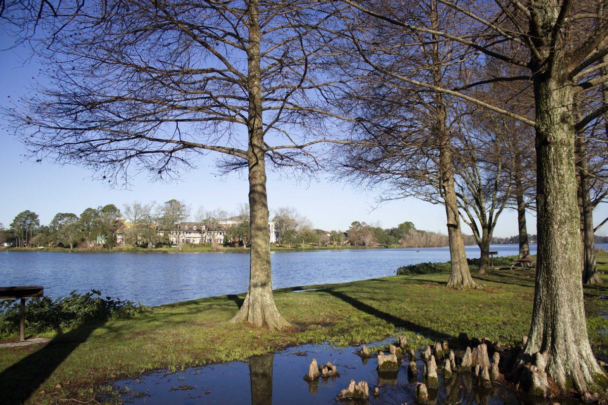 Six lakes surround LSU's Campus in Baton Rouge on Friday, Jan. 24, 2020.