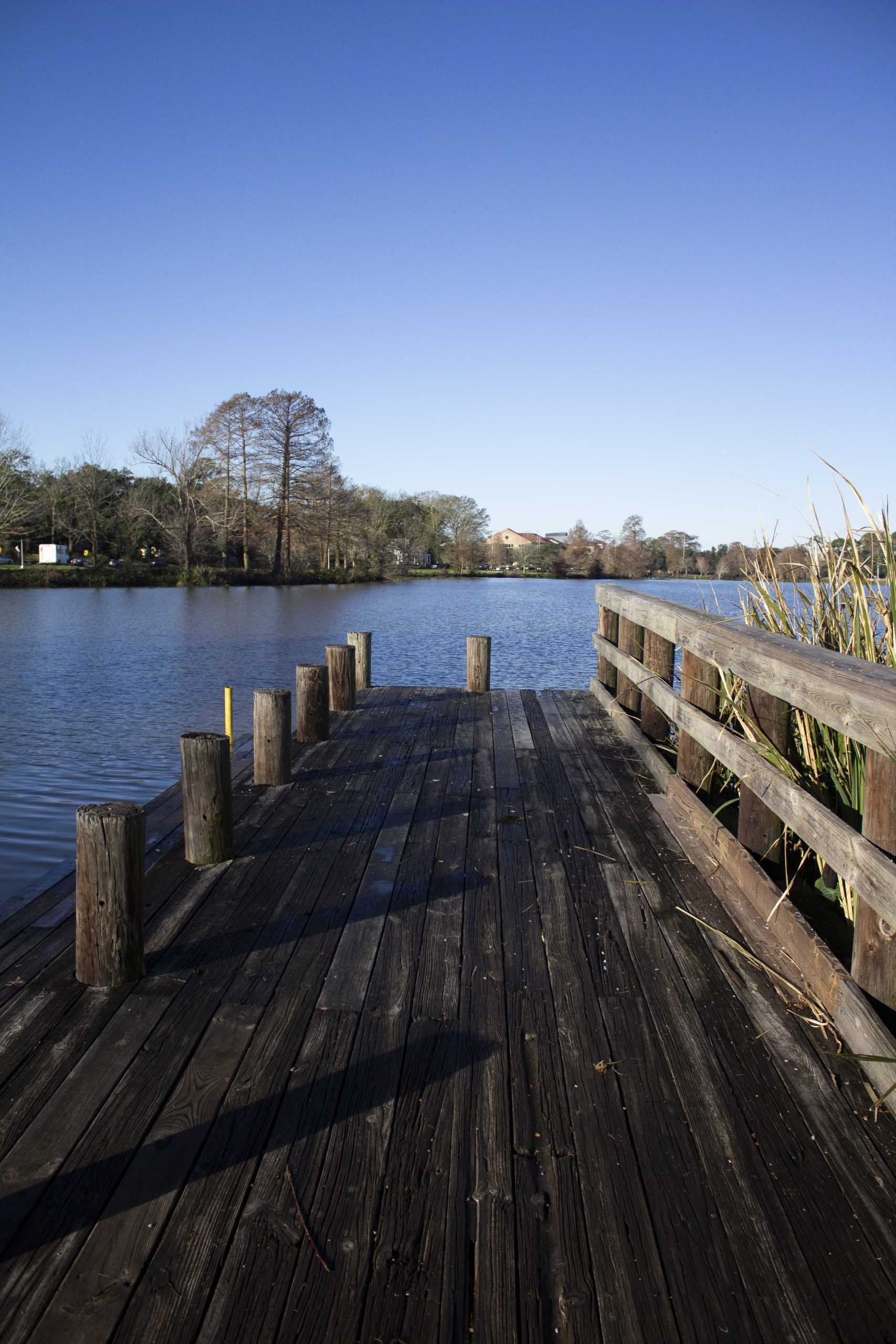 After securing $15 million in funding, LSU Lakes restoration project set to restart in September