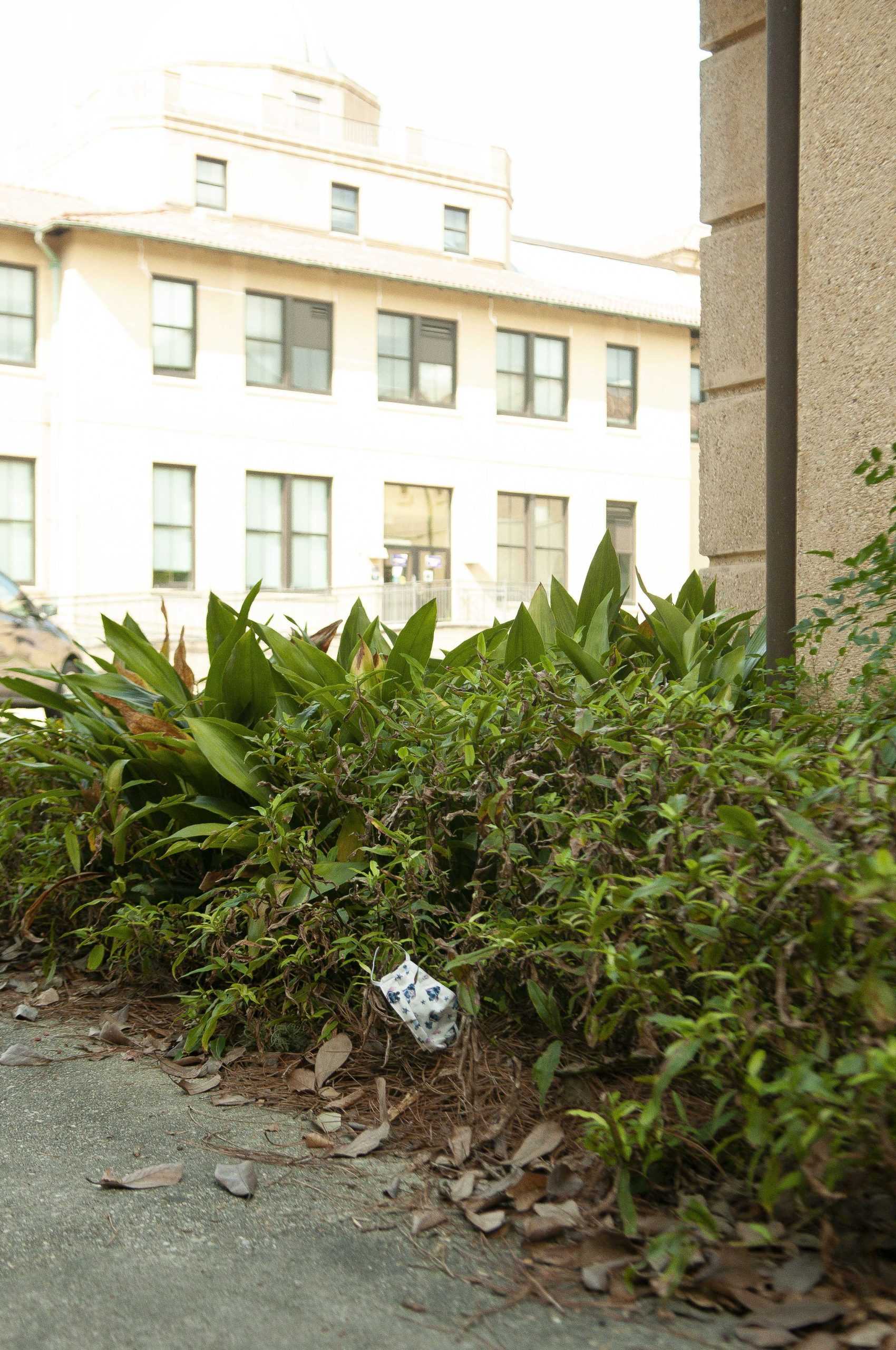 PHOTO: The pollution of face masks at LSU