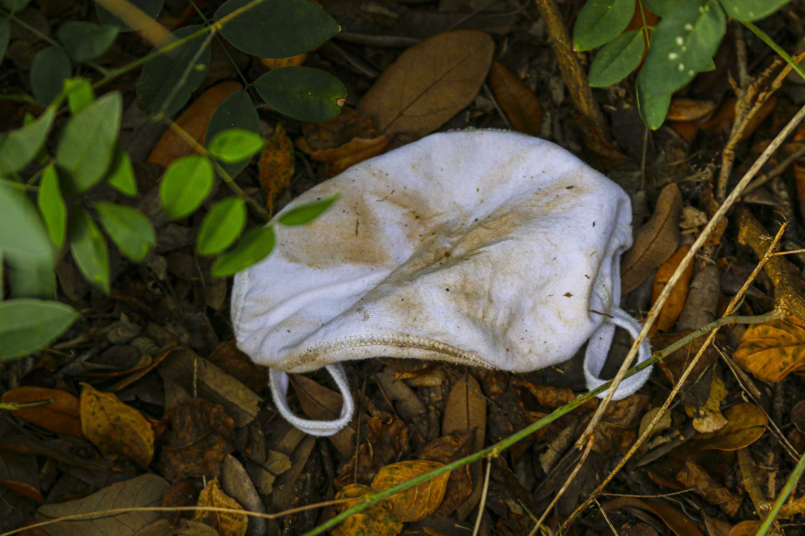 PHOTO: The pollution of face masks at LSU