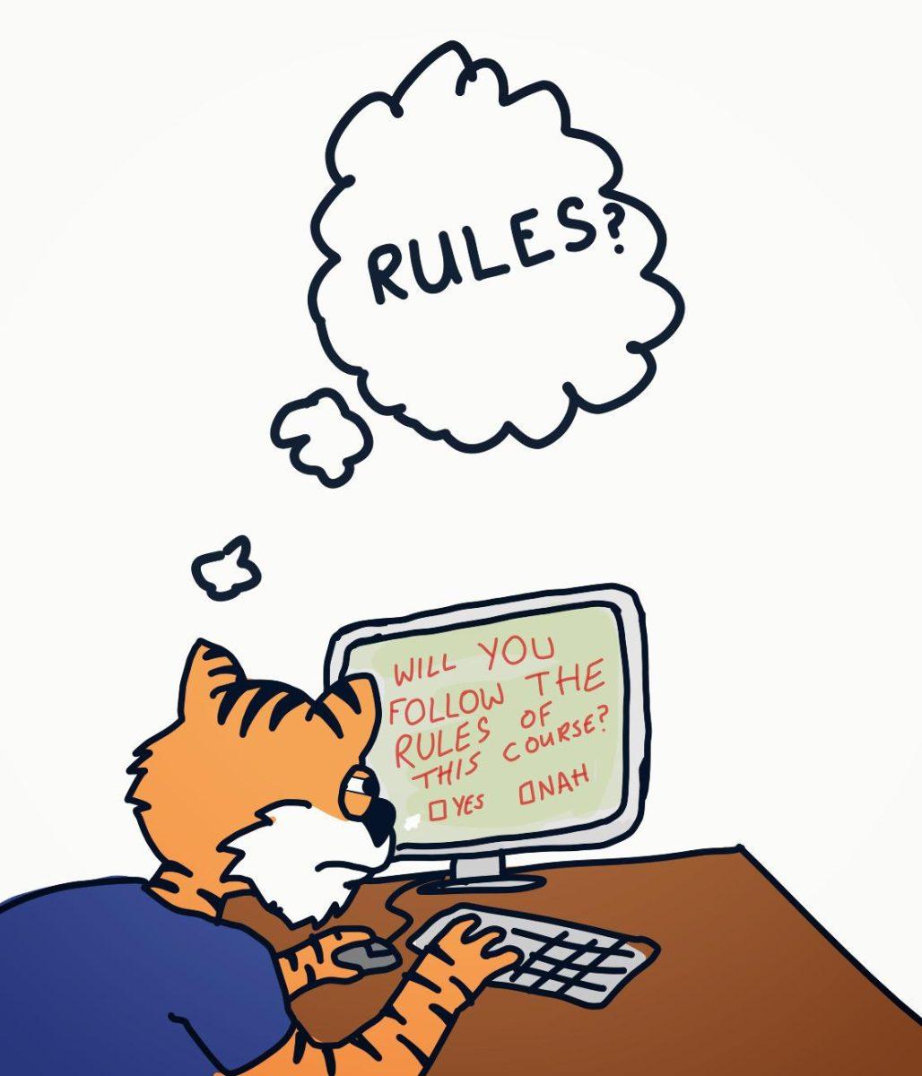 RULES FOR ONLINE CLASSES