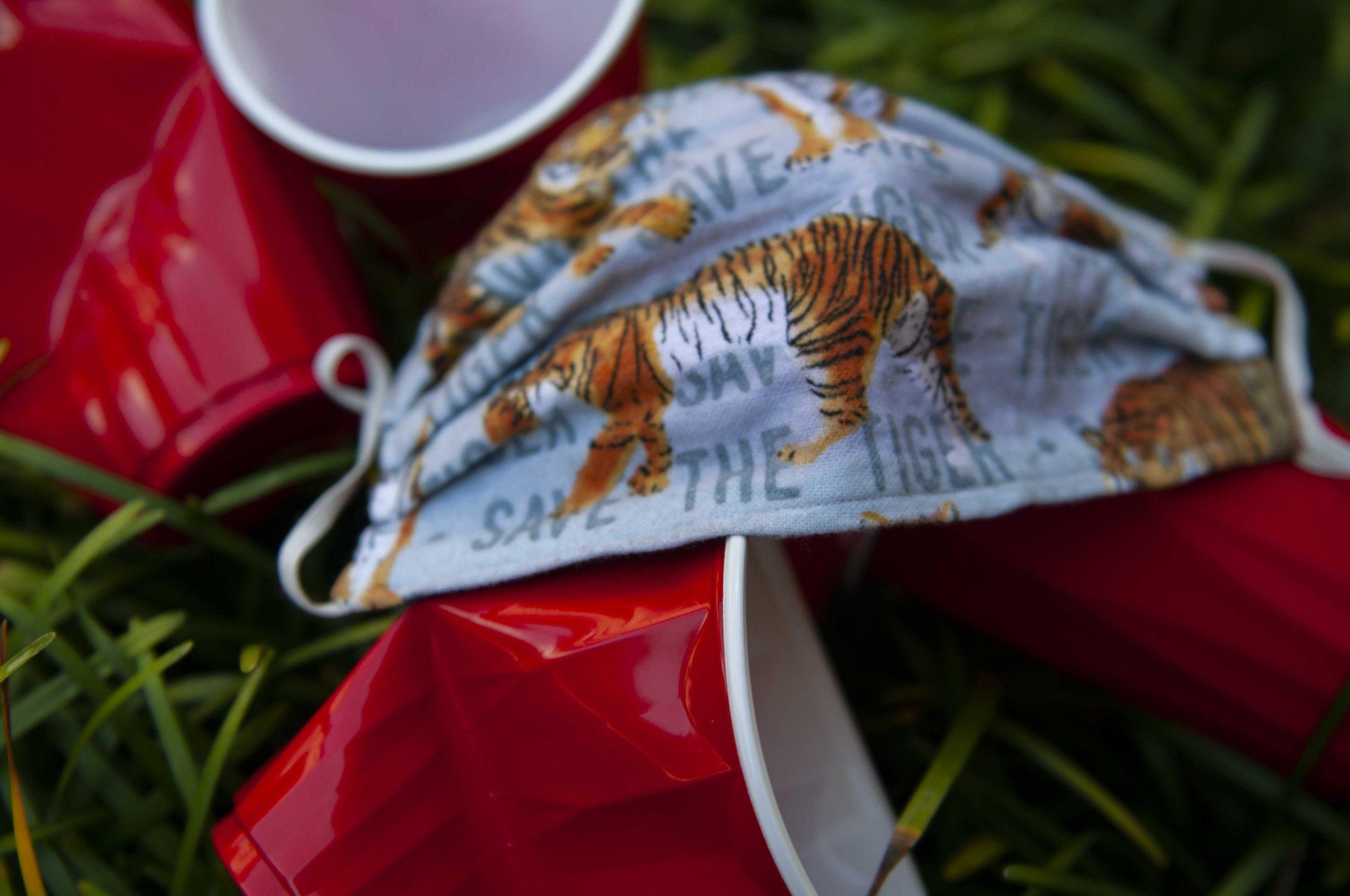 Party Penalty: What is LSU doing to stop students from partying during the pandemic?