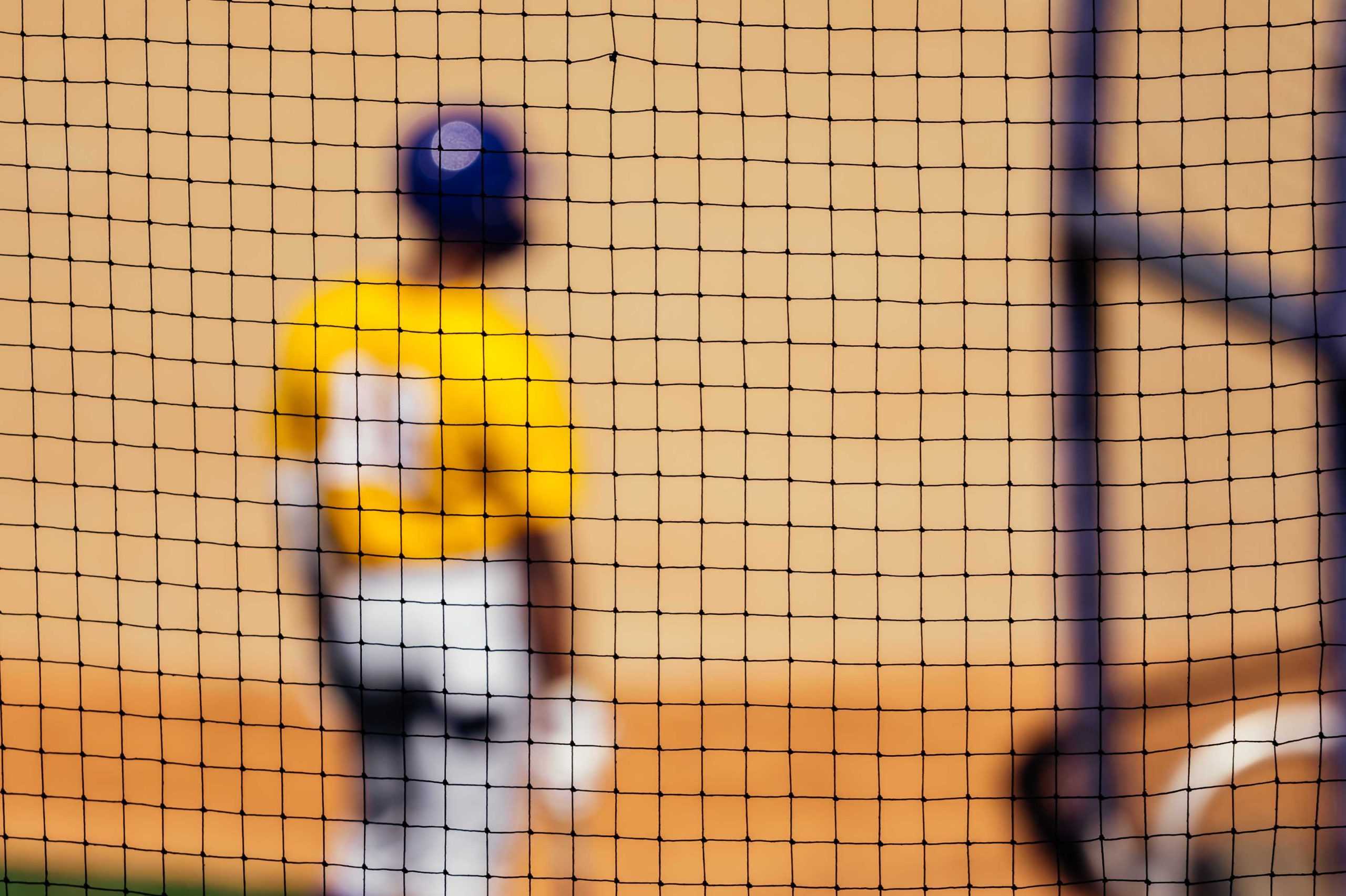 PHOTOS: LSU Baseball holds first fall practice