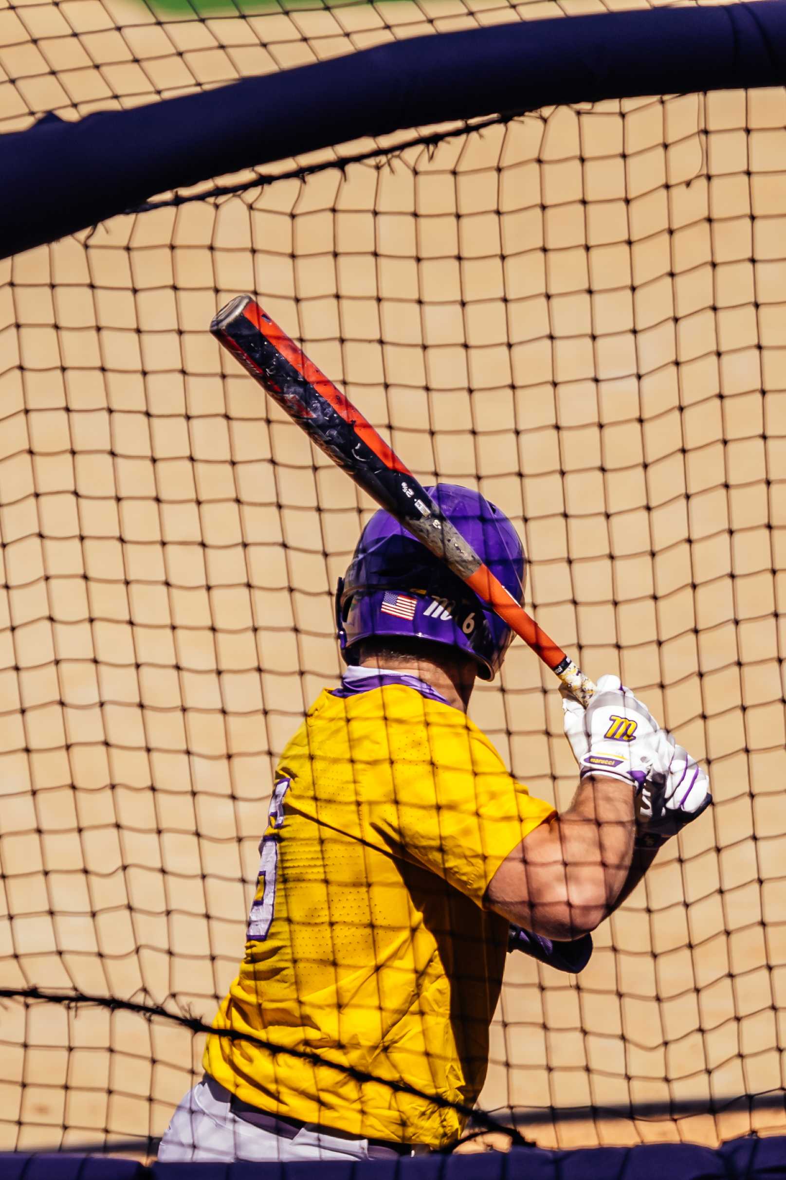 PHOTOS: LSU Baseball holds first fall practice