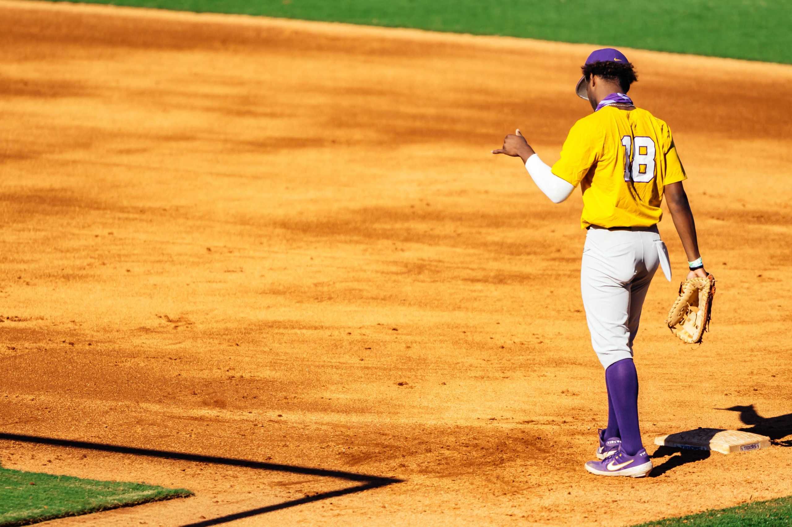 PHOTOS: LSU Baseball holds first fall practice