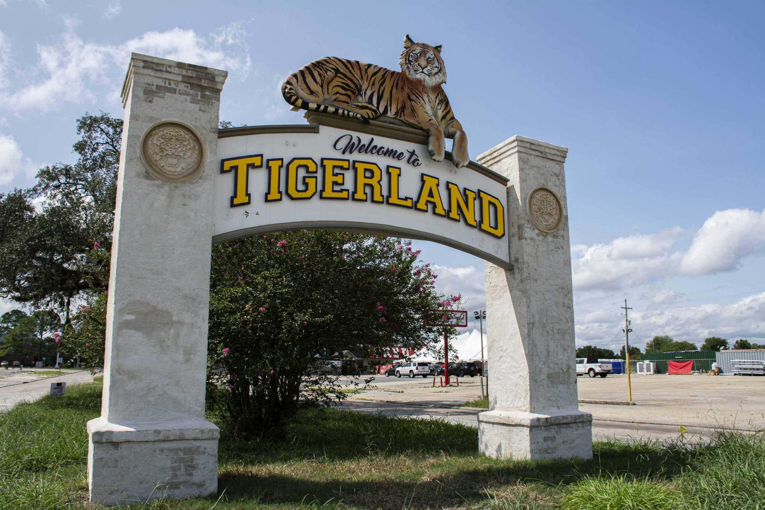 COVID-19 infection rate within LSU community appears unaffected by Tigerland reopening