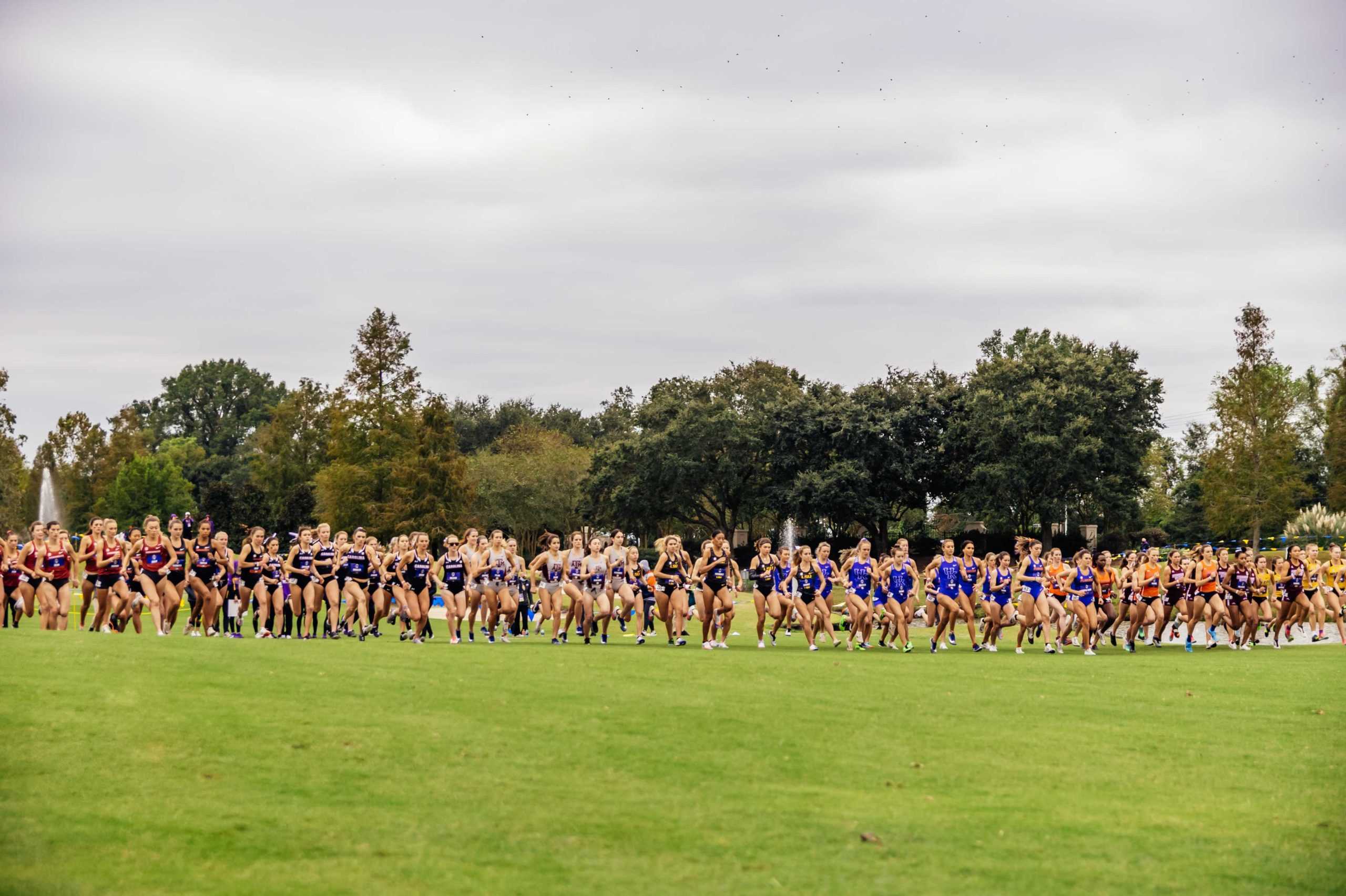 PHOTOS: LSU hosts SEC Cross Country Championships