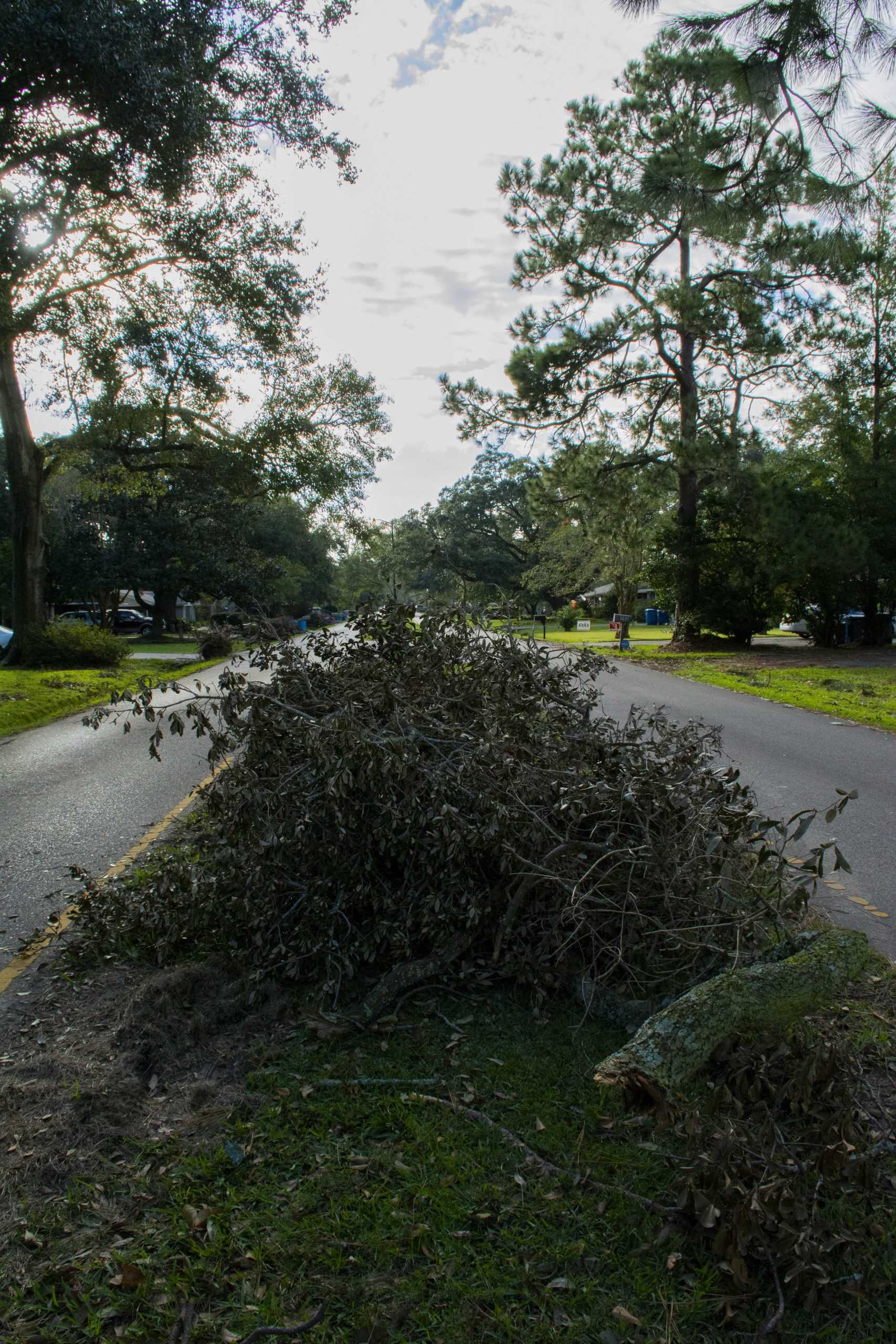 PHOTOS: Christ the King hosts hurricane relief clean-up