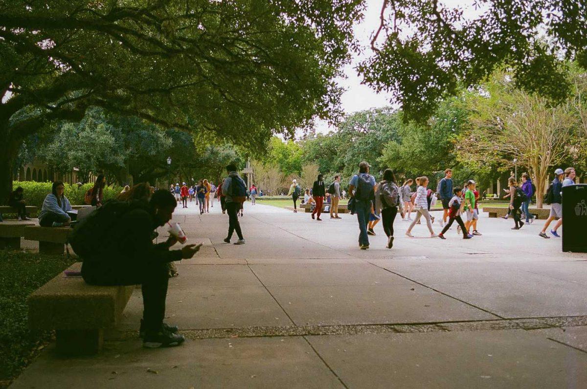 LSU students on Monday, Nov. 2, 2019, at Louisiana State University.