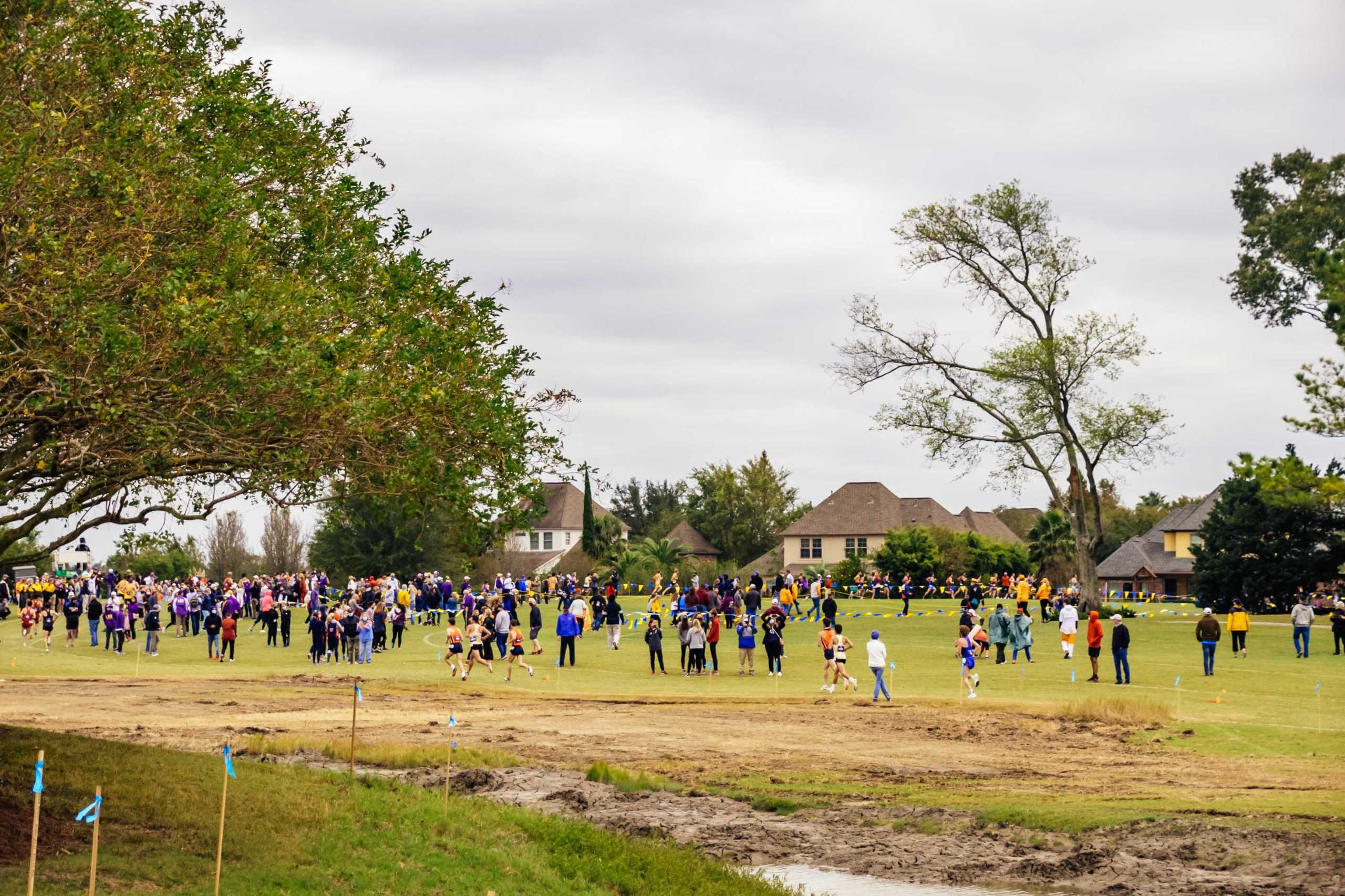 PHOTOS: LSU hosts SEC Cross Country Championships