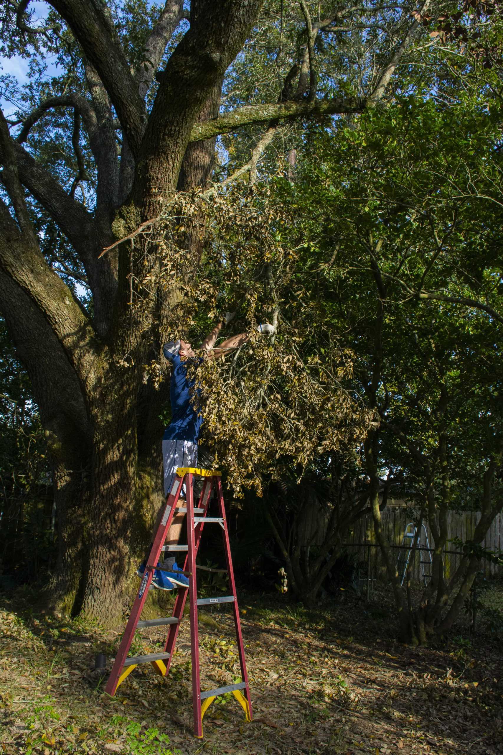 PHOTOS: Christ the King hosts hurricane relief clean-up