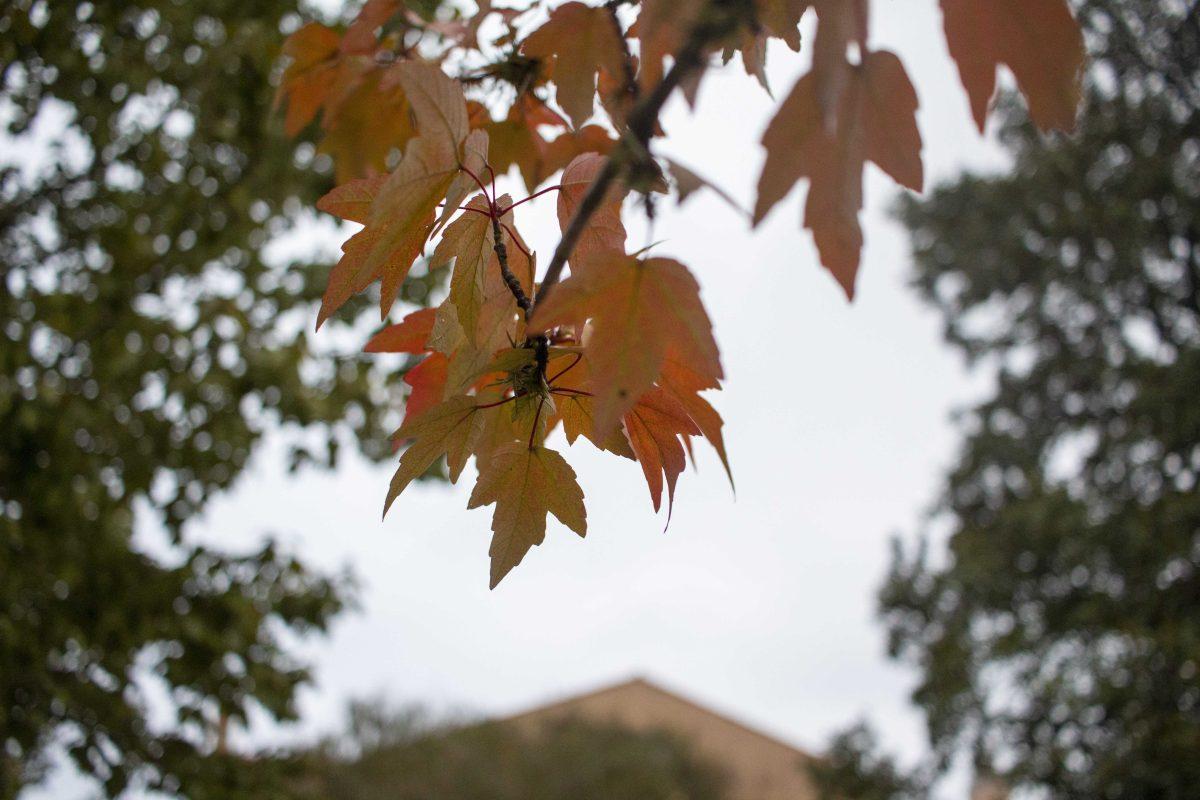 Leaves change colors outside the Quad on Thursday, Oct. 25, 2018.