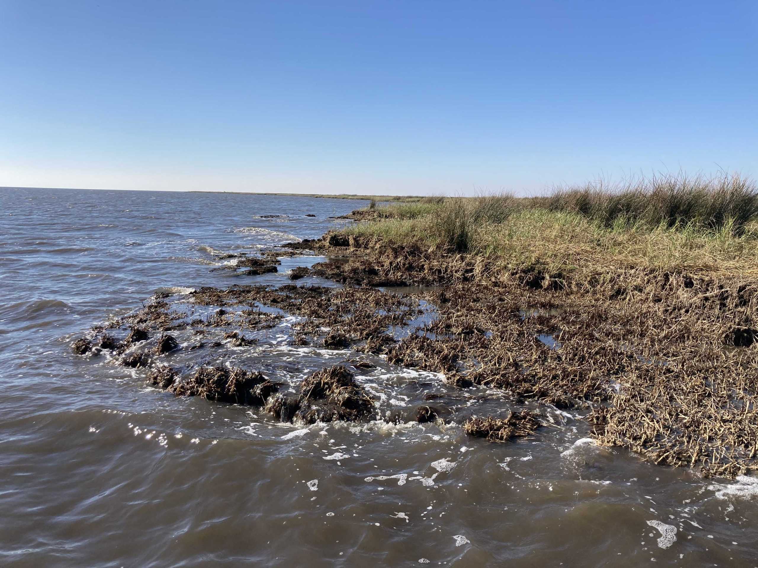 Sinking Louisiana: Is it too late to save Louisiana&#8217;s coast? LSU professors, researchers weigh in